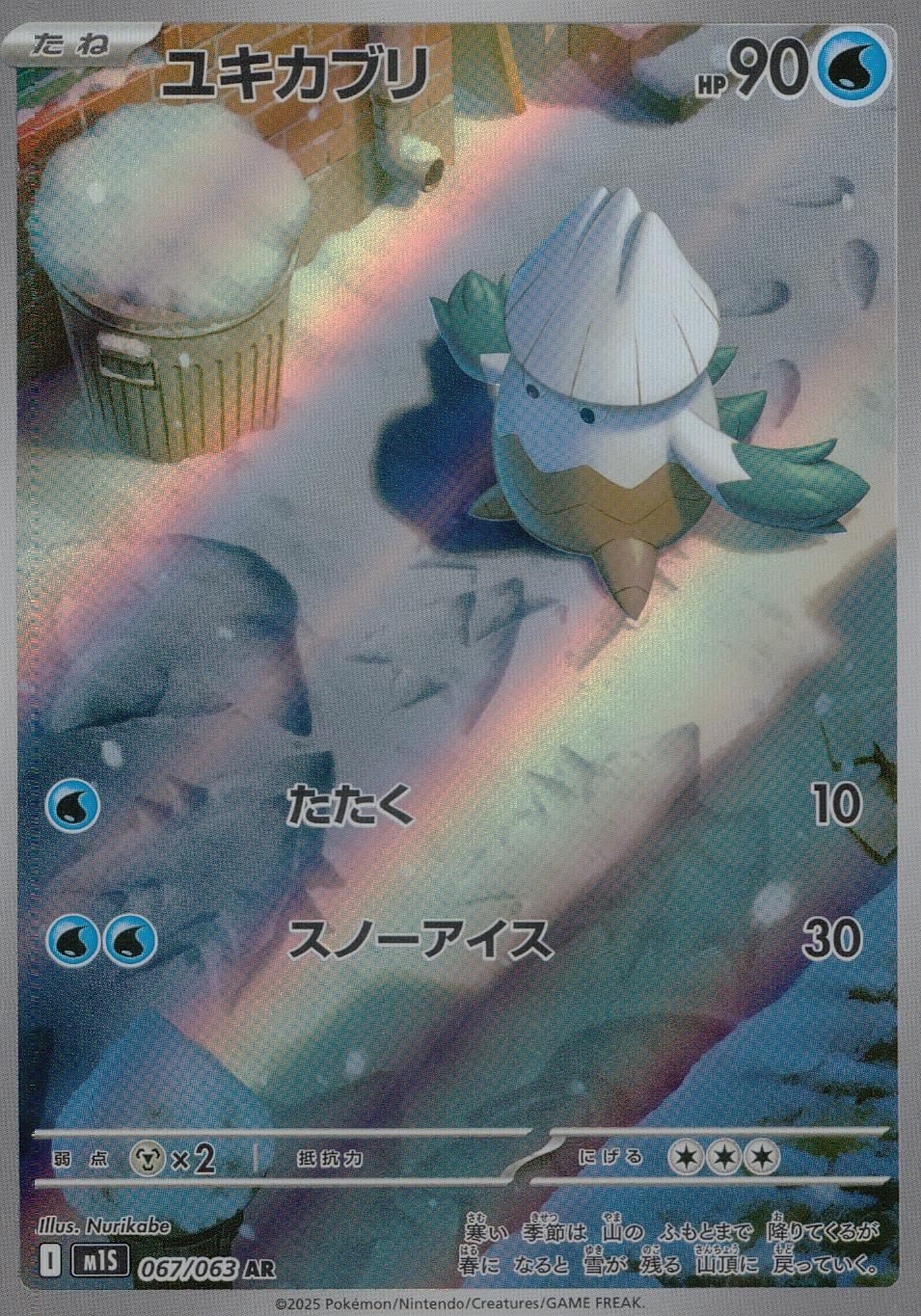 067/063/M1S/B/AR ユキカブリ