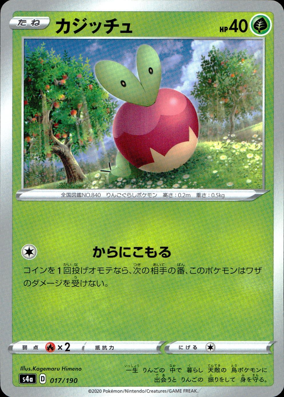 017/190/S4A/B カジッチュ