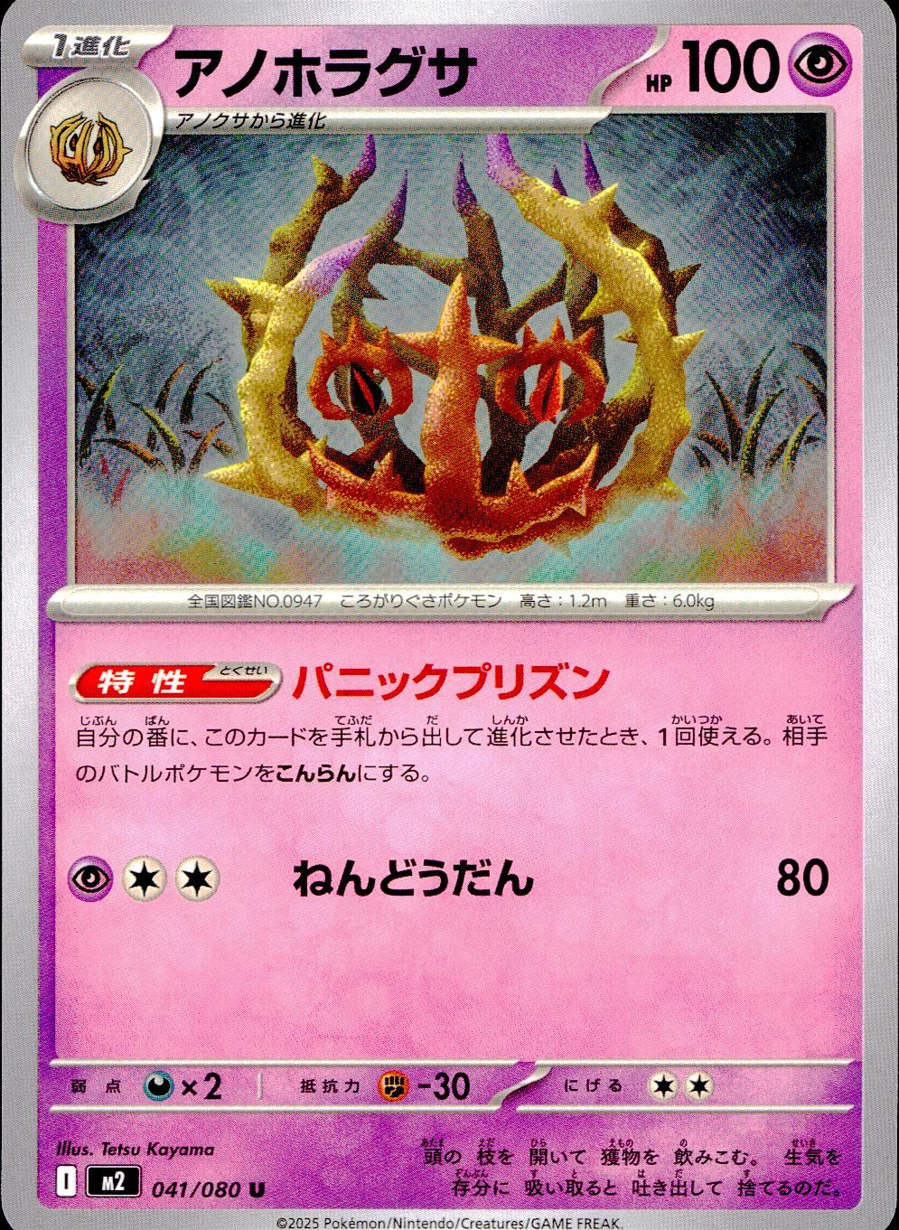 041/080/M2/B/U アノホラグサ