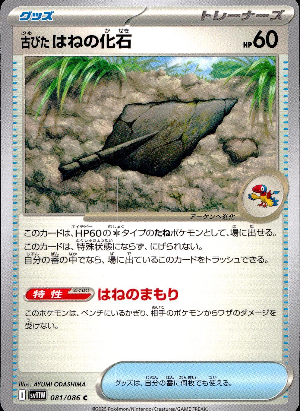 081/086/SV11W/B/U 古びたはねの化石