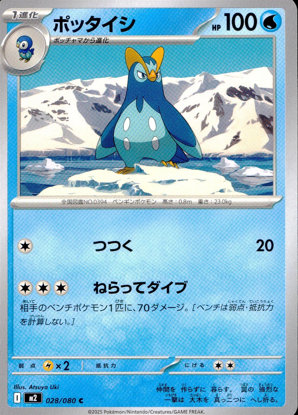 028/080/M2/B/C Pottaishi