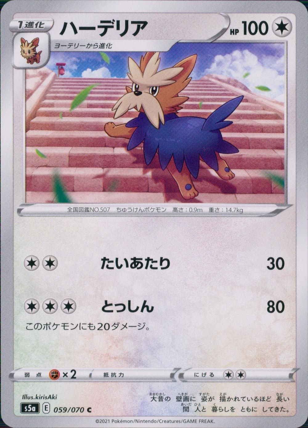 059/070/S5A/B/C ハーデリア