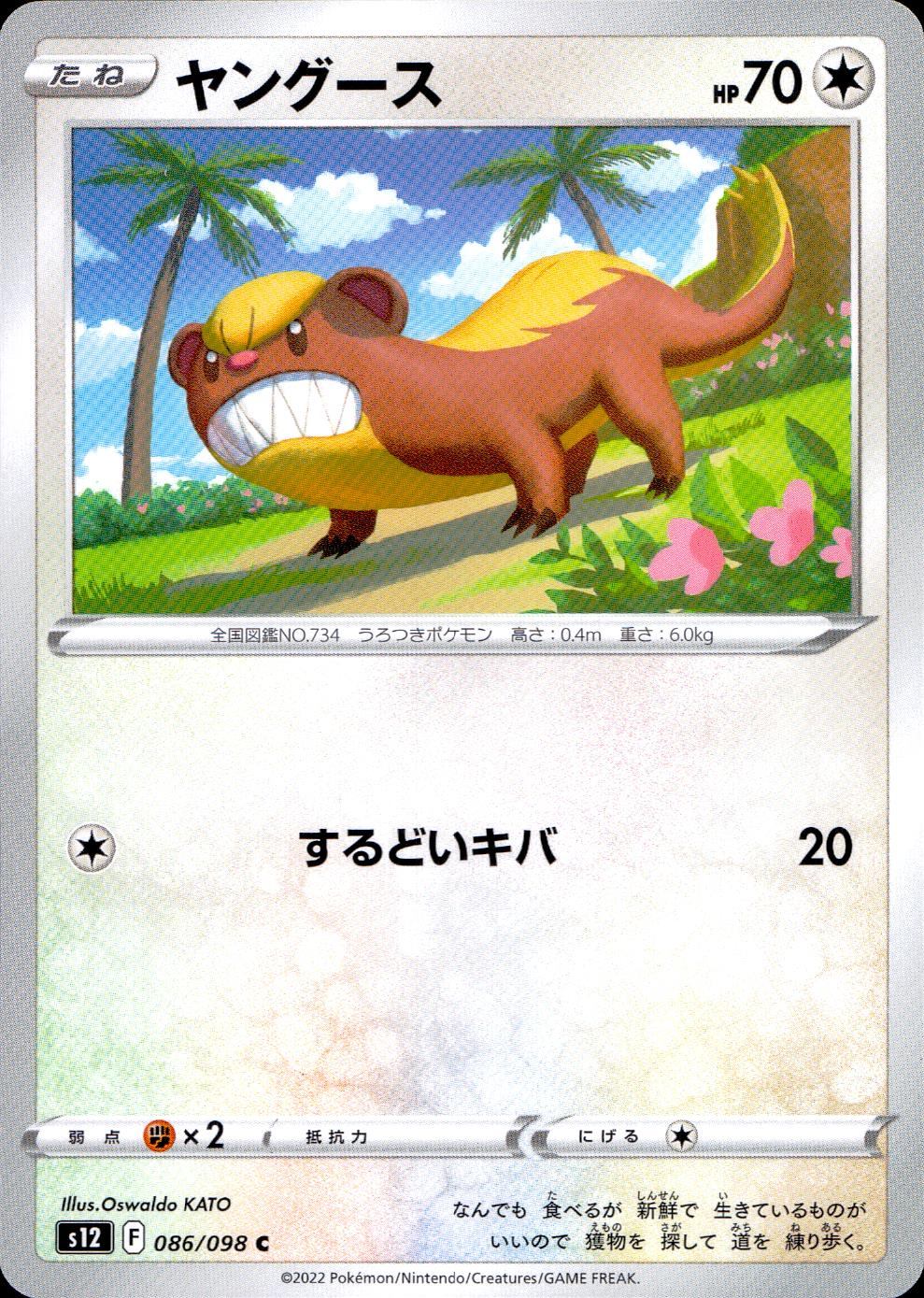 086/098/S12/B/C Youngus