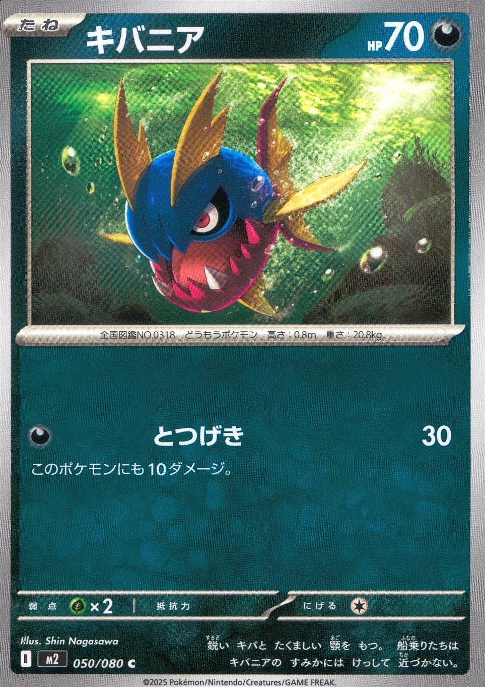 050/080/M2/B/C キバニア