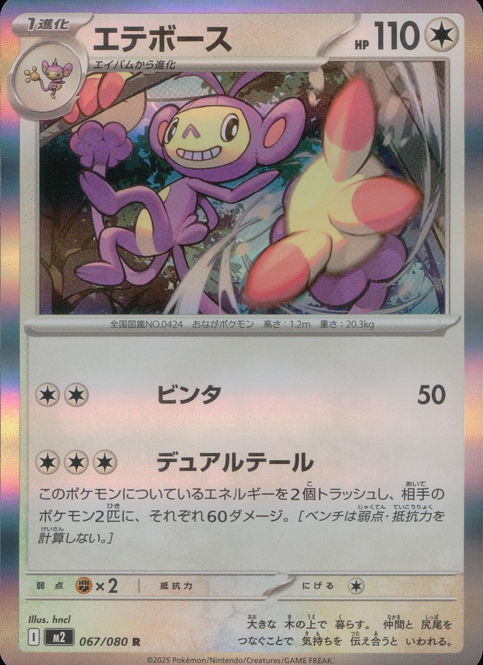 067/080/M2/B/R エテボース