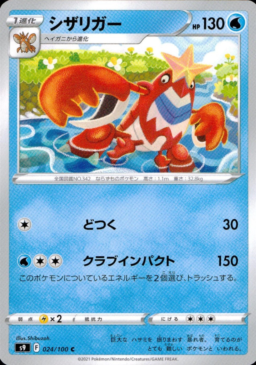 024/100/S9/B/C Shizariga