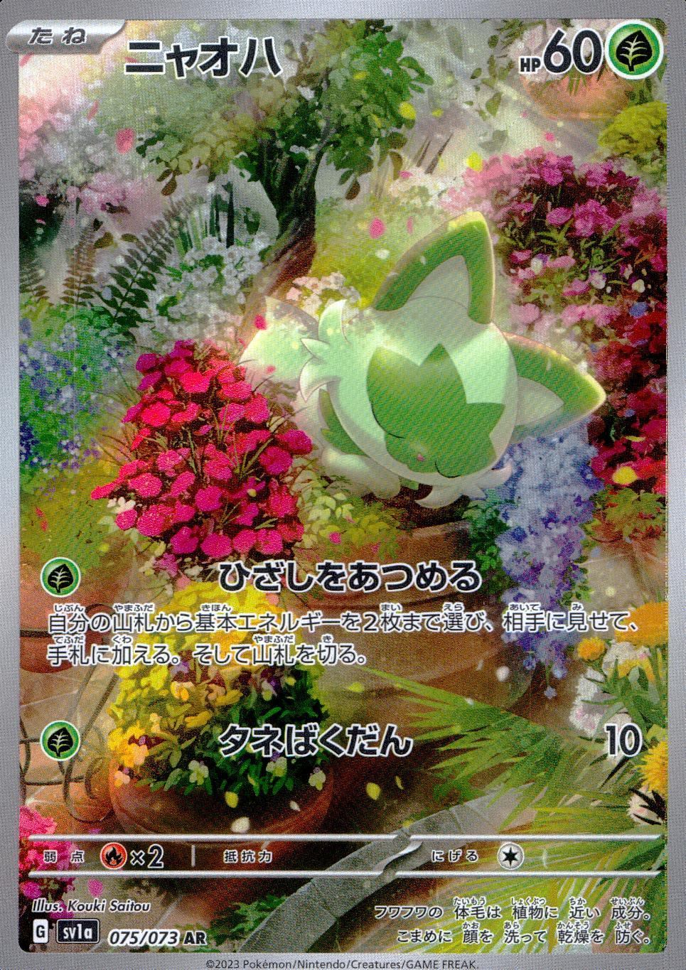 075/073/SV1A/B/AR Nyaohha