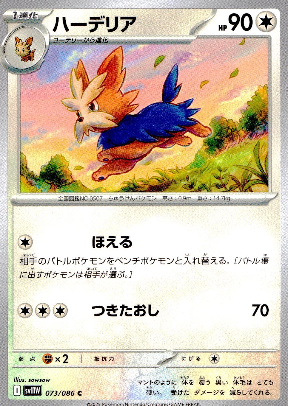 073/086/SV11W/B/C ハーデリア