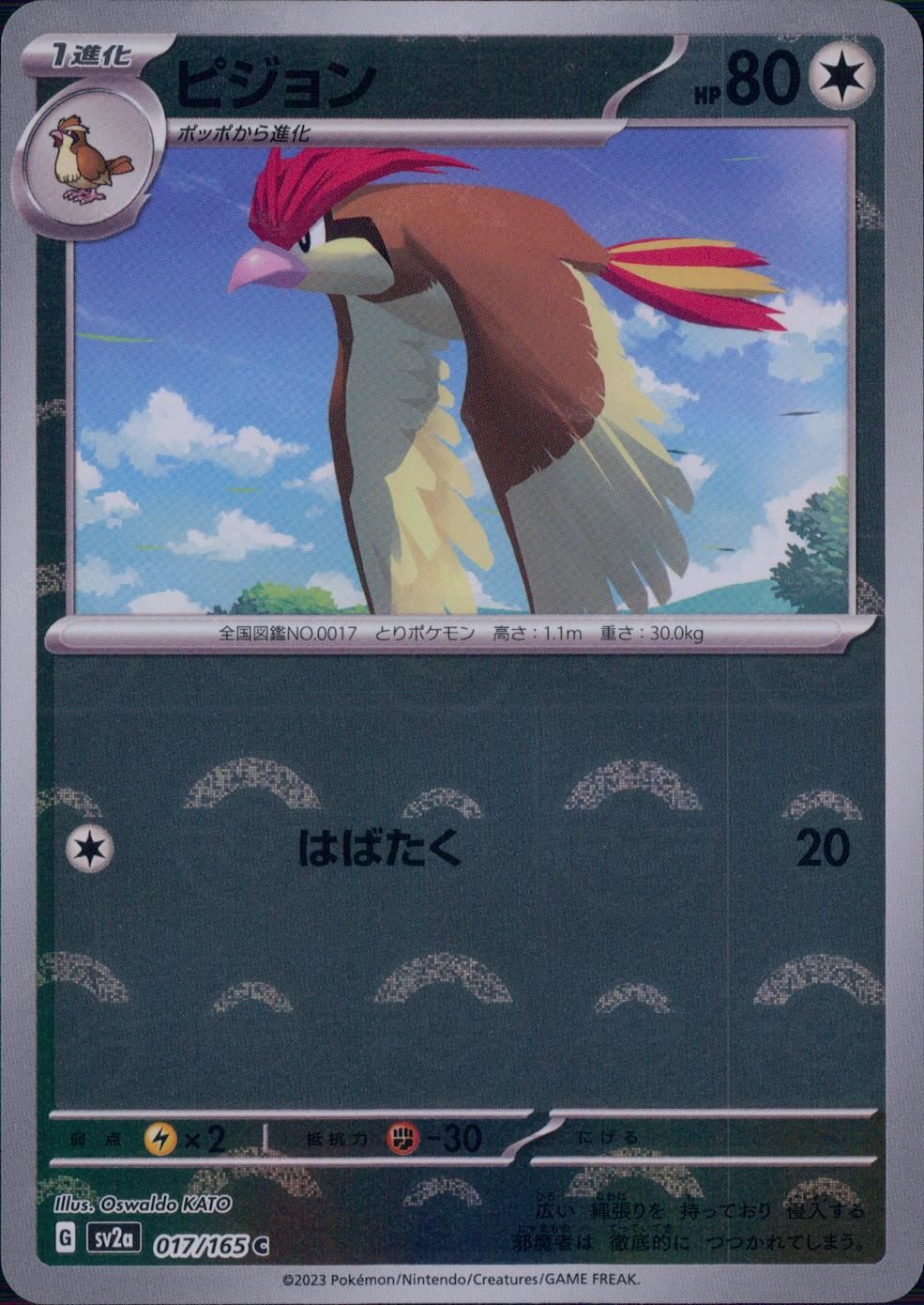 017/165/SV2A/BM1/C Mirror) Pigeon (Monster Ball Pattern)