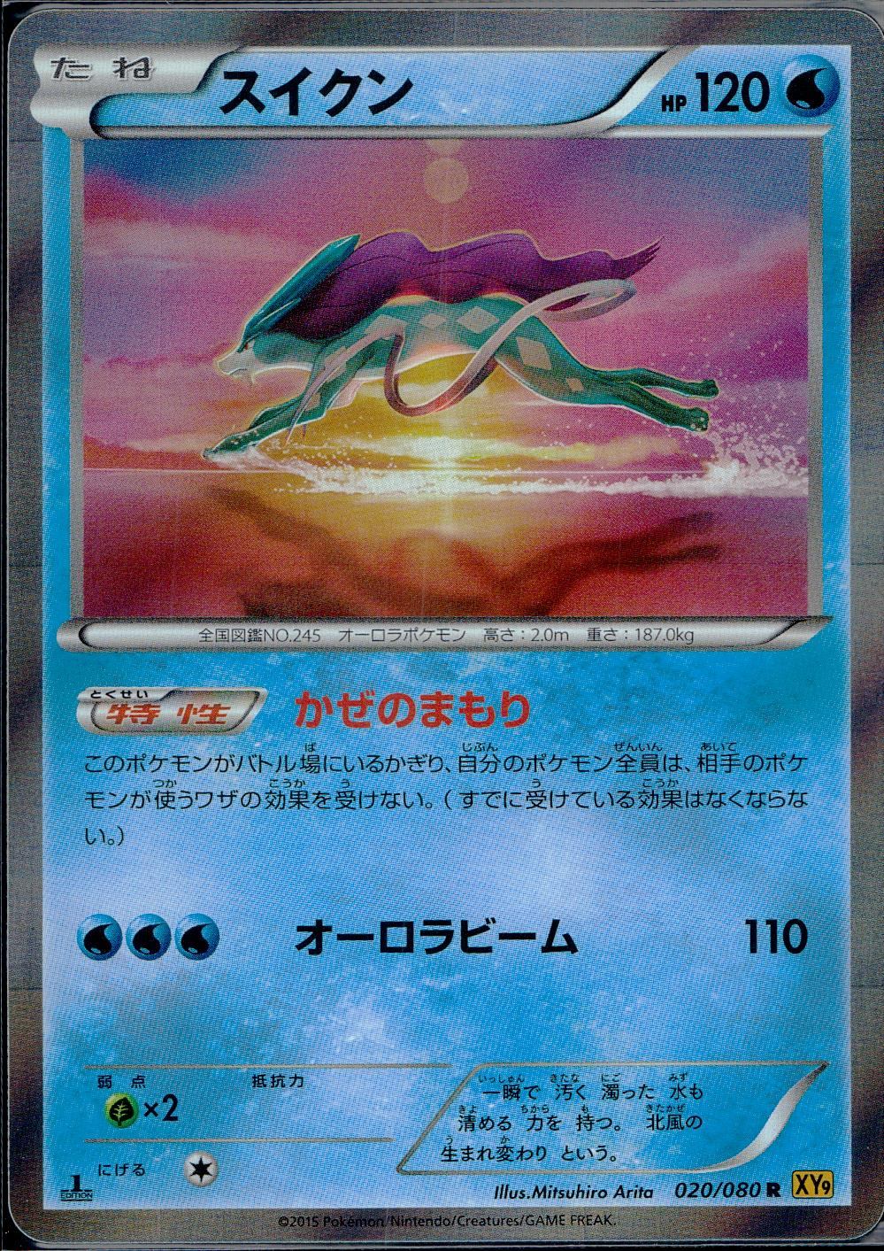 020/080/R/XY9/B スイクン