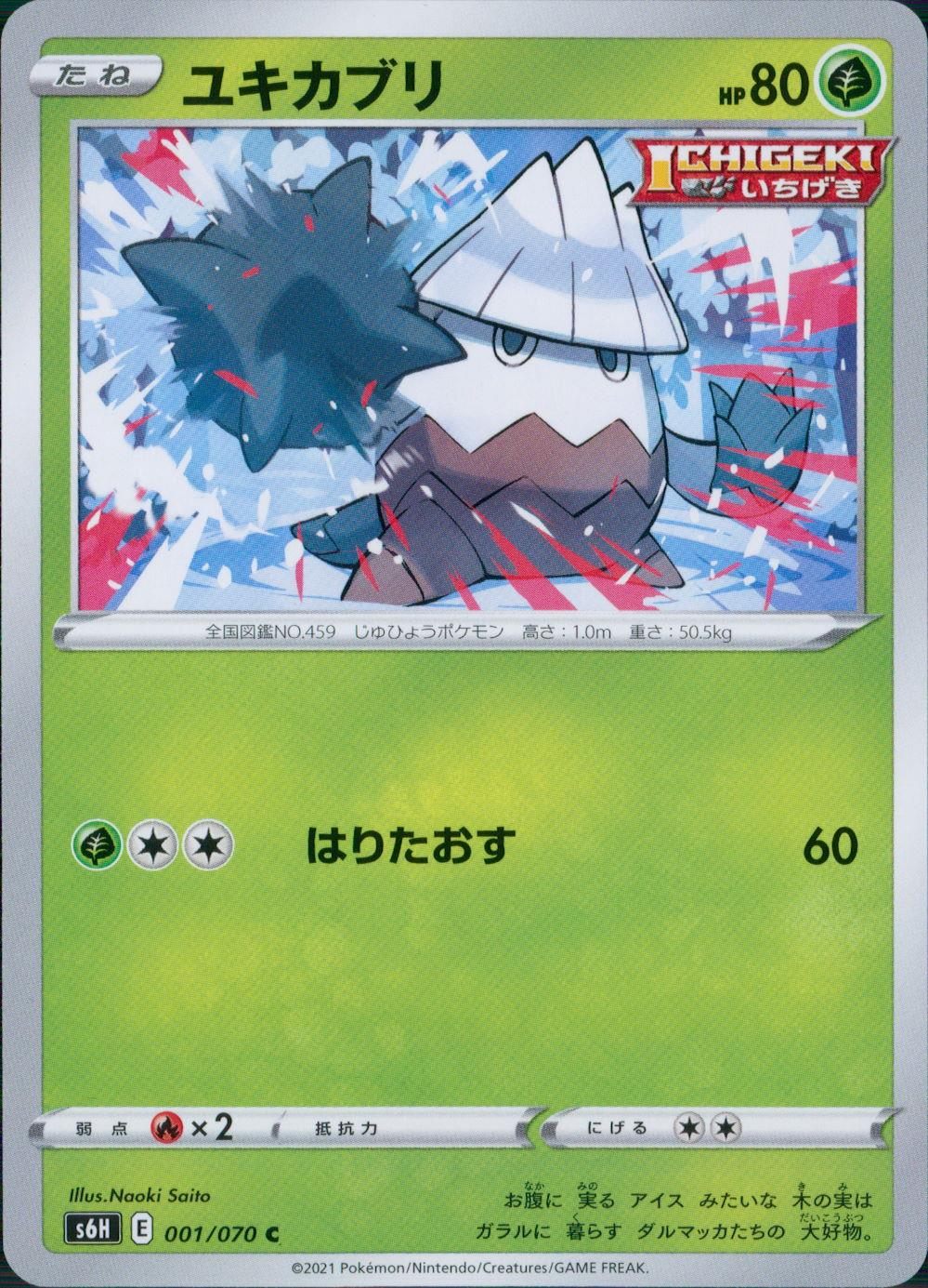 001/070/S6H/B/C ユキカブリ