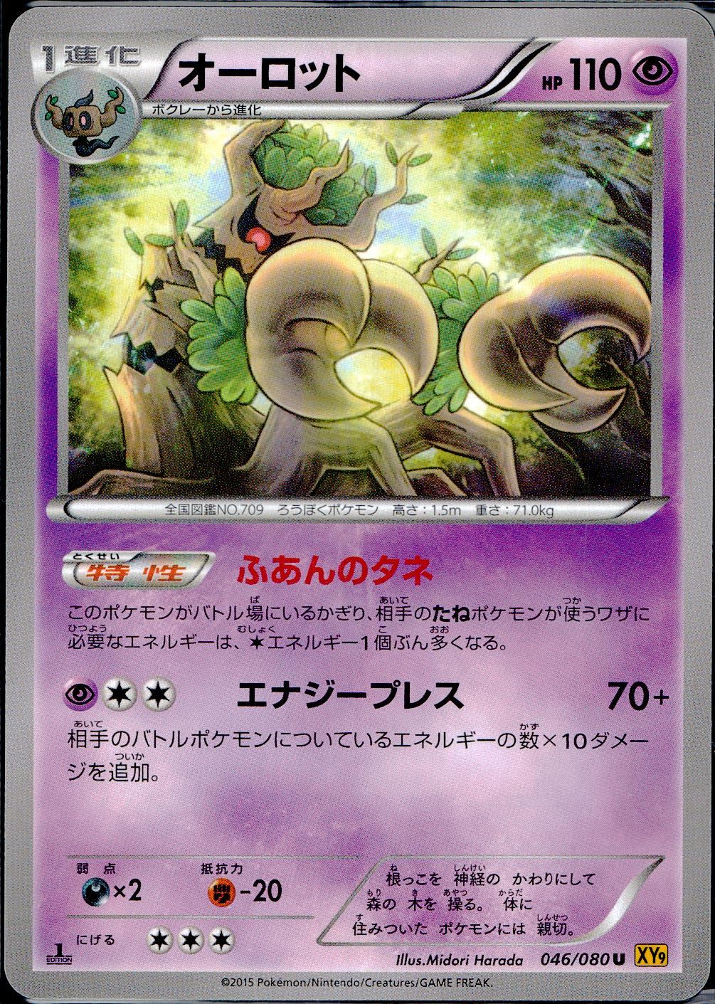 046/080/U/XY9/B オーロット