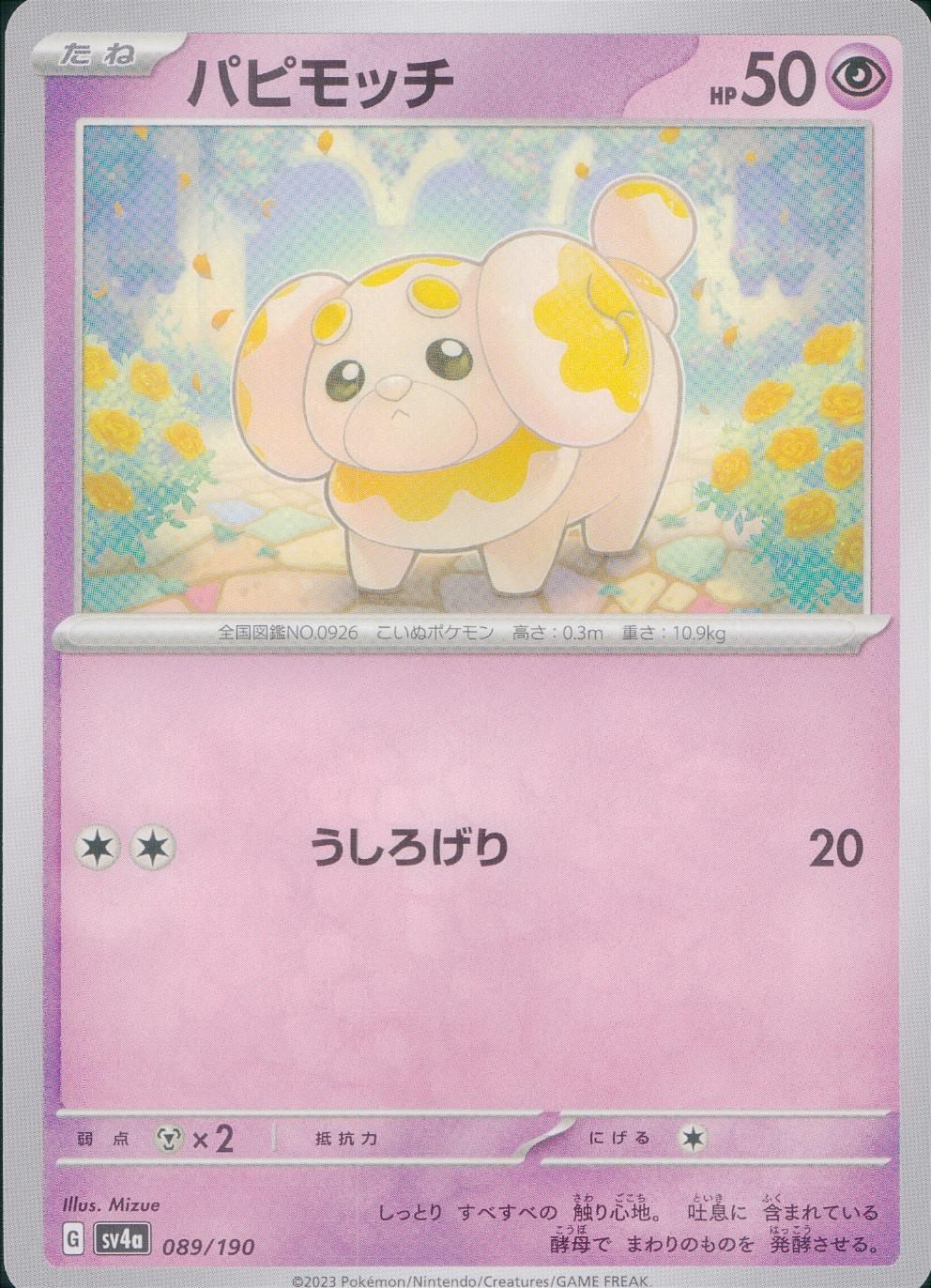 089/190/SV4A/B パピモッチ