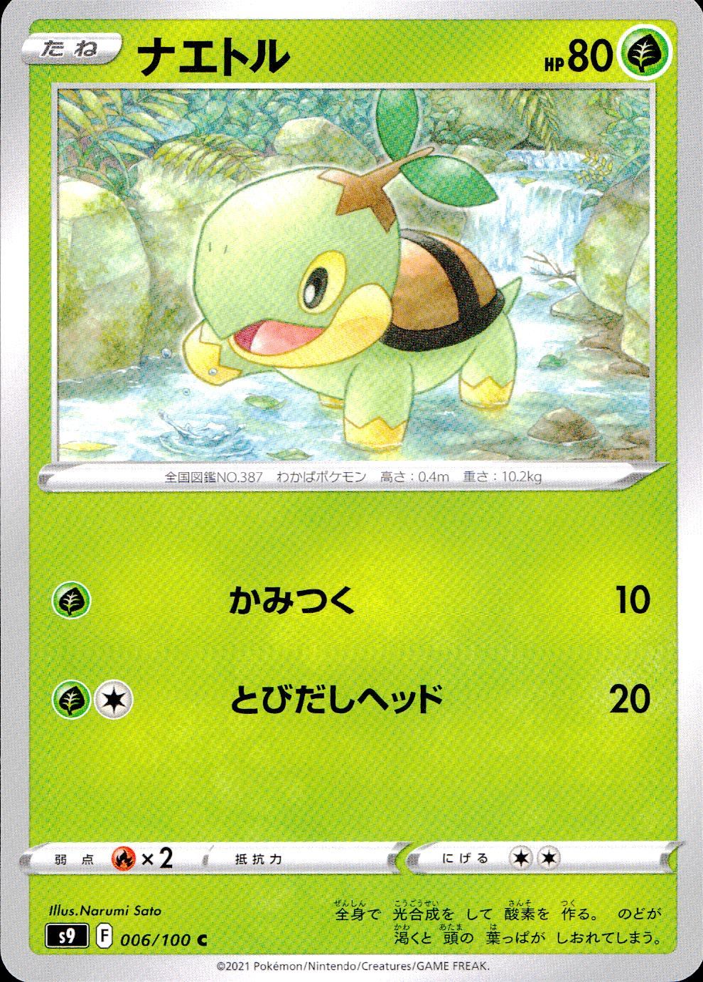 006/100/S9/B/C Turtwig