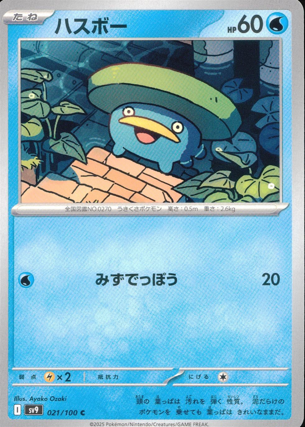 021/100/SV9/B/C Hasbo