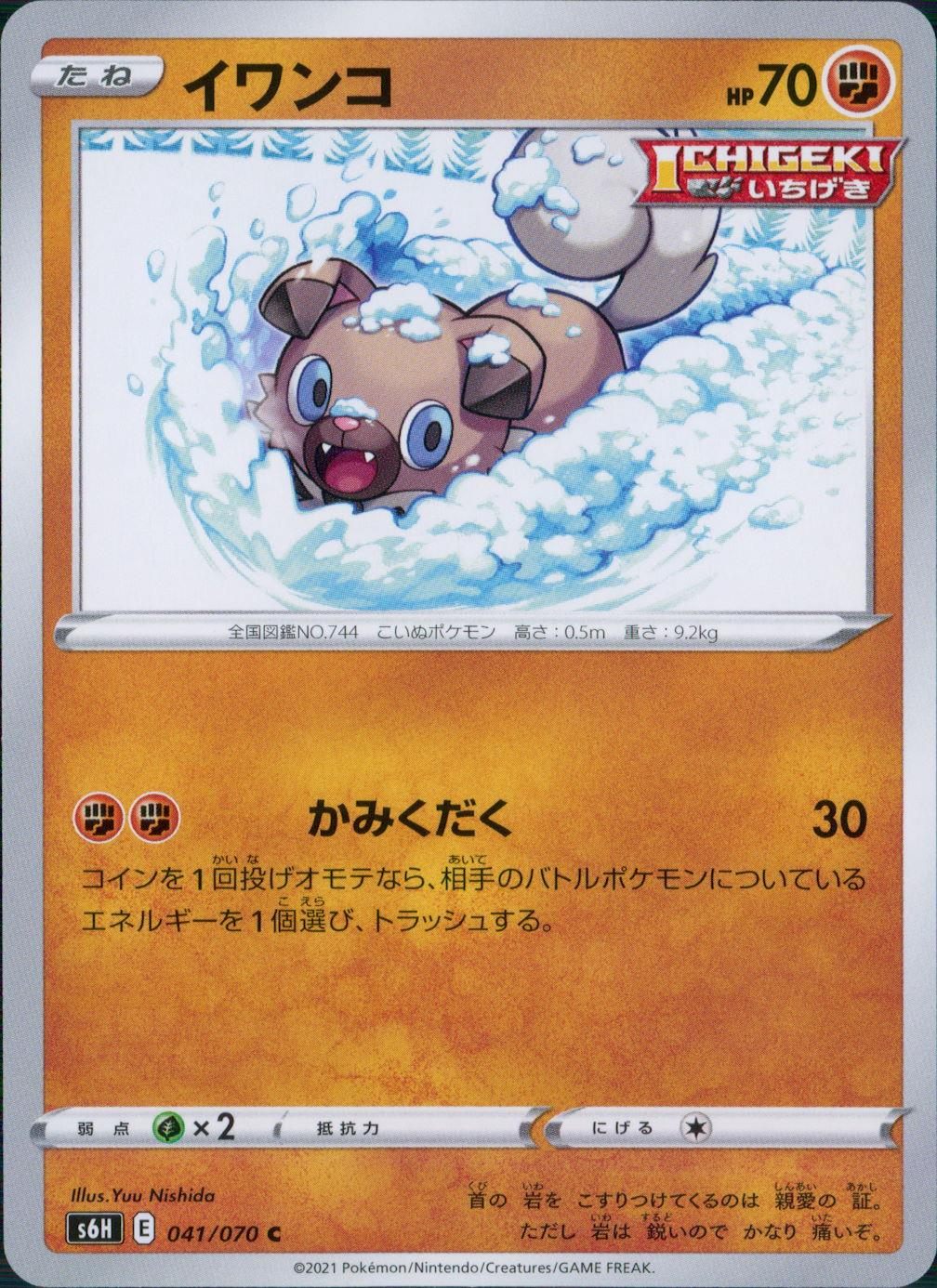 041/070/S6H/B/C イワンコ