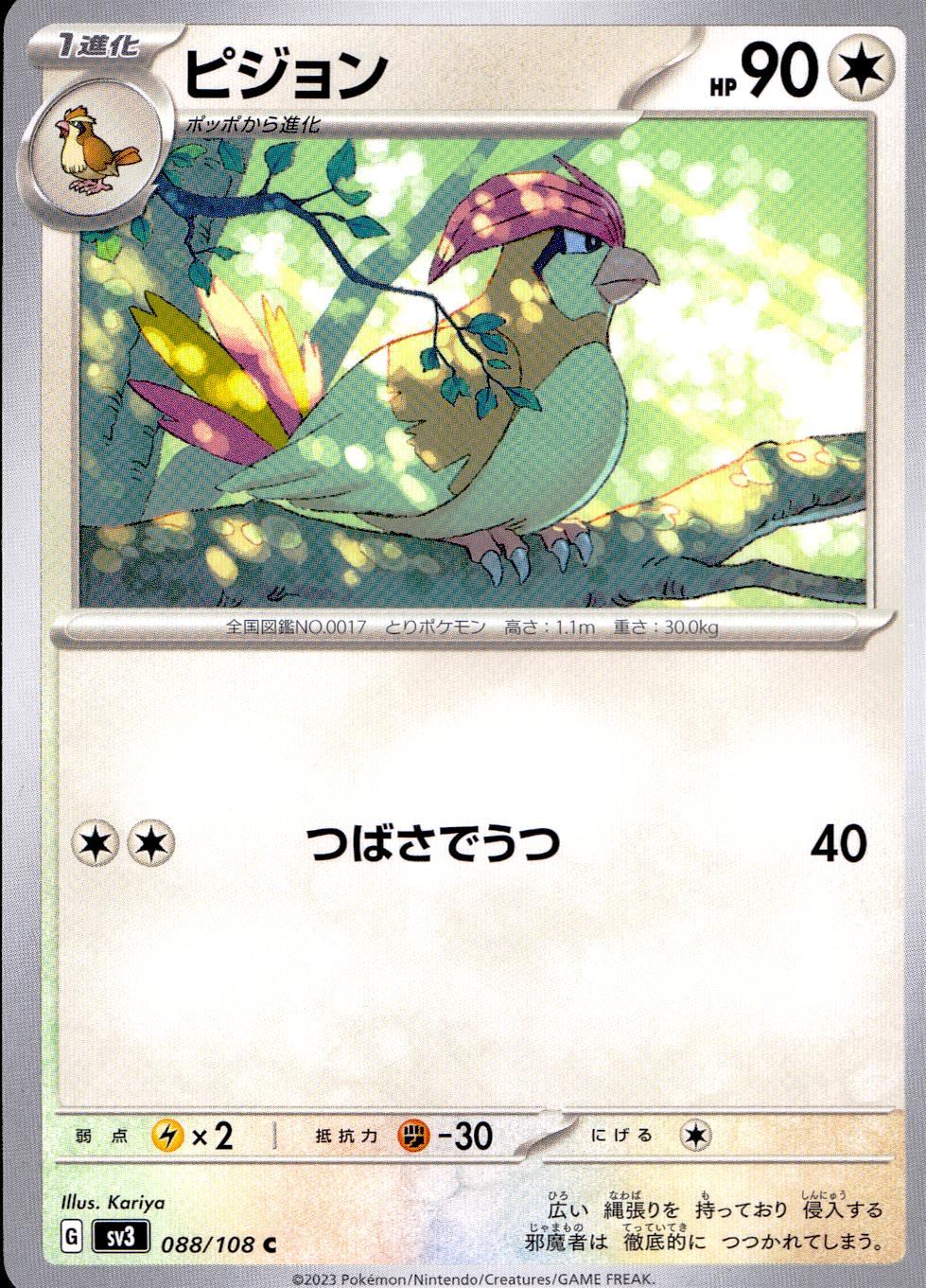 088/108/SV3/B/C ピジョン