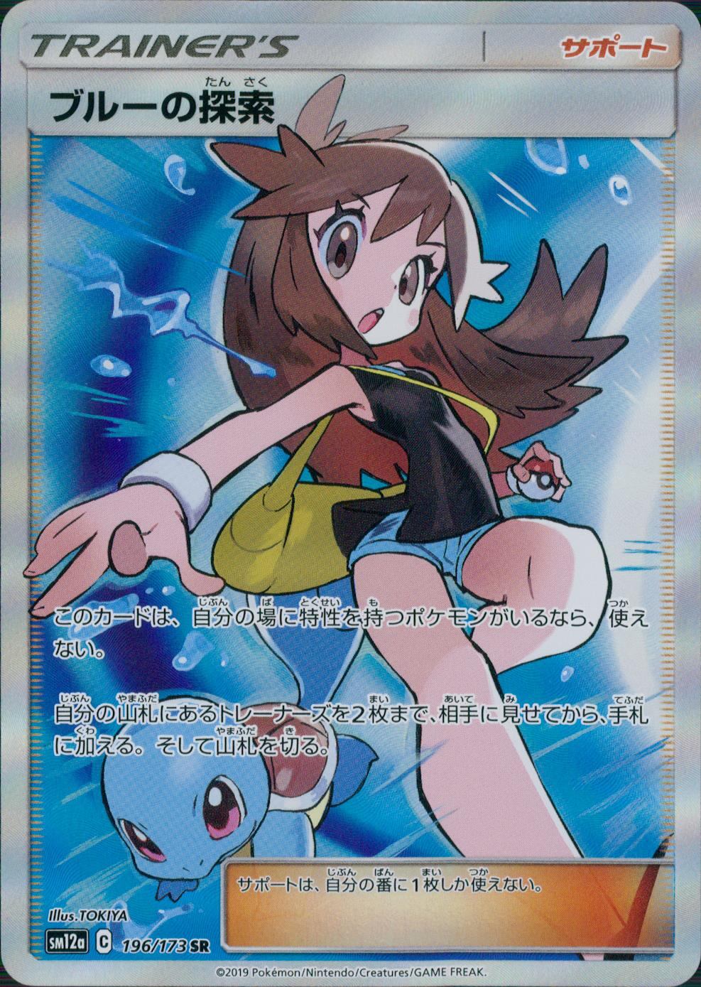 196/173/SM12A/SR ブルーの探索