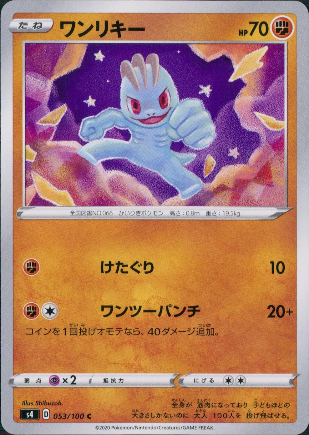 053/100/S4/B/C ワンリキー