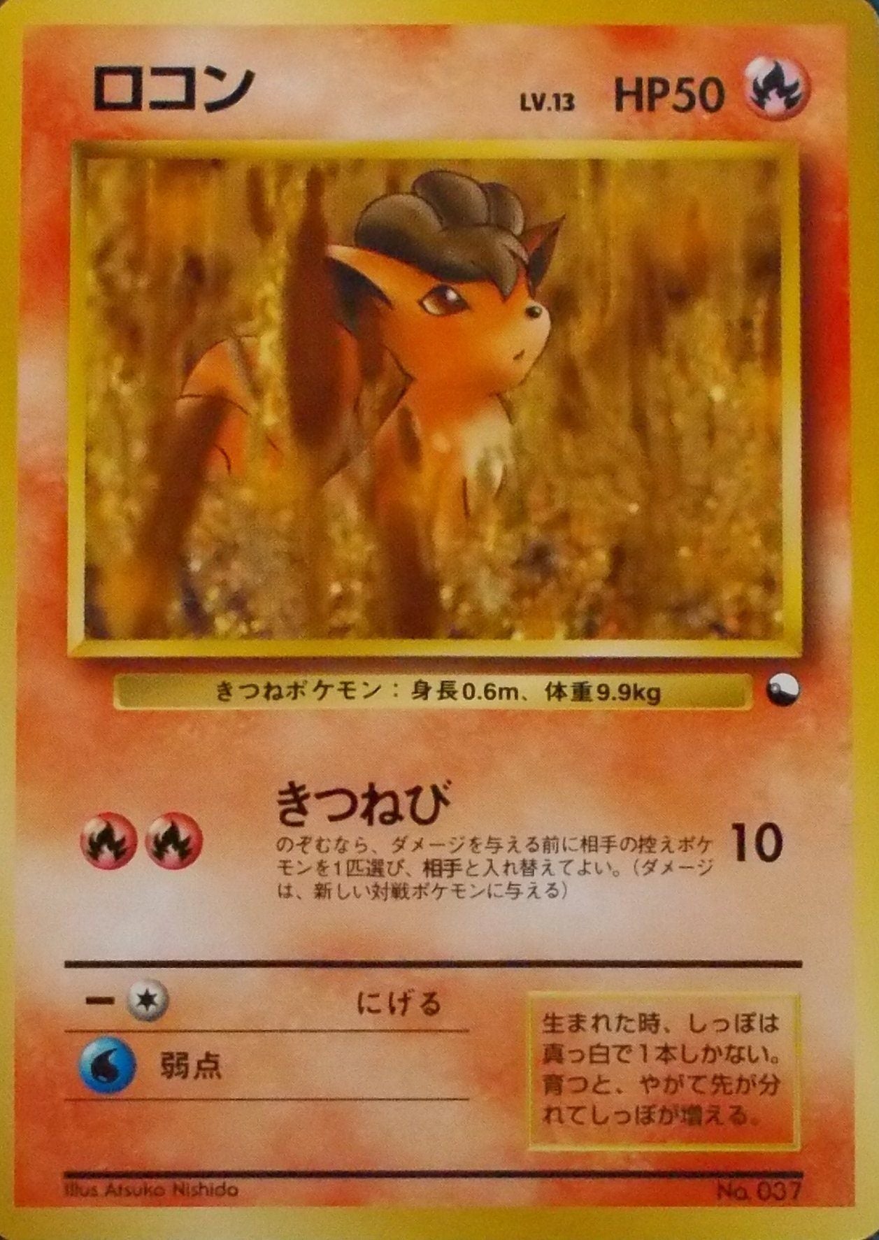 【状態B】旧裏 No.037 ロコン Lv.13/HP50