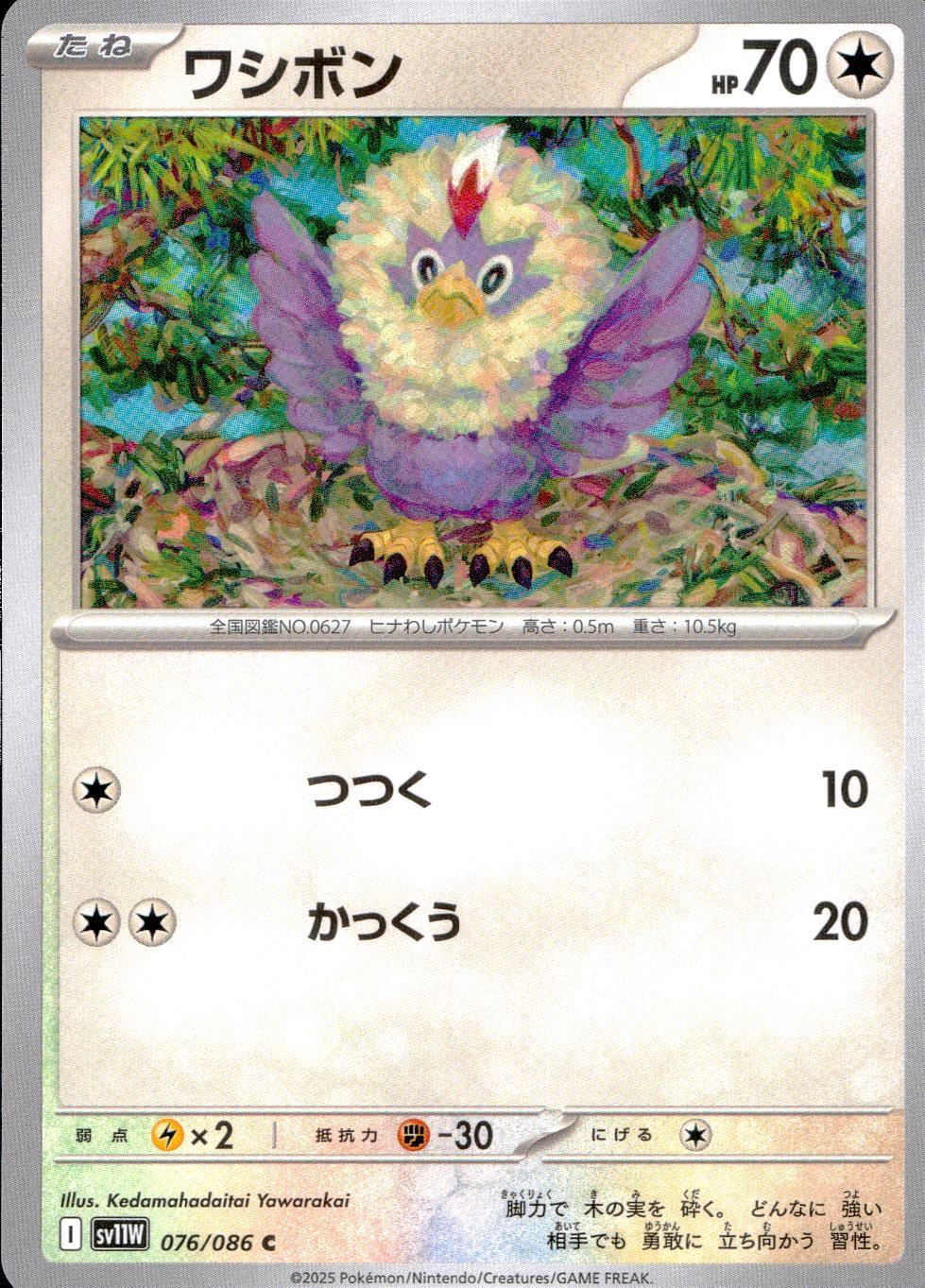 076/086/SV11W/B/C ワシボン