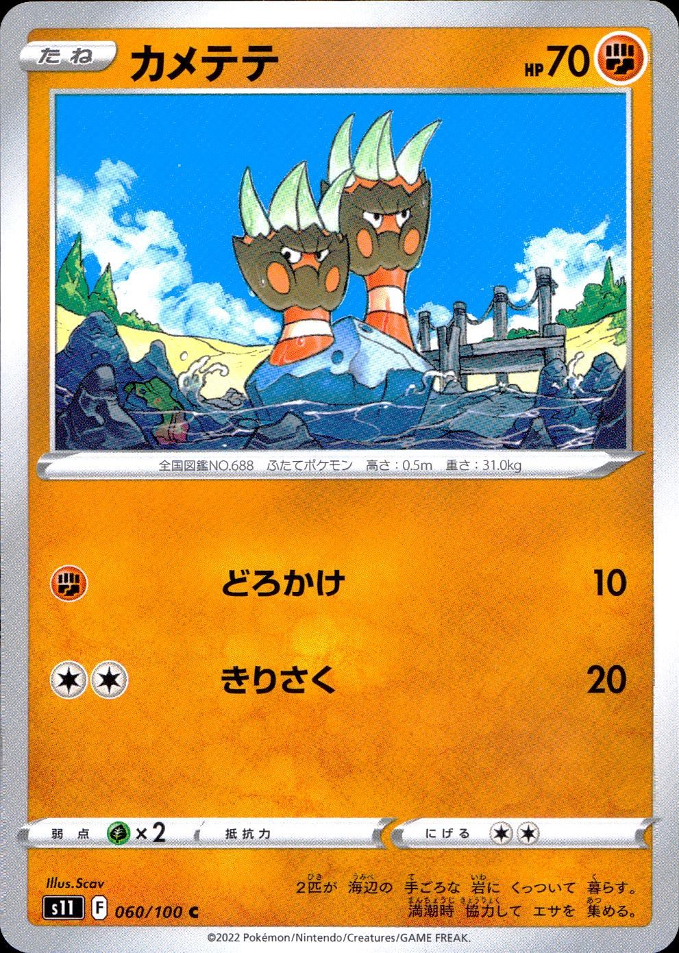 060/100/S11/B/C カメテテ