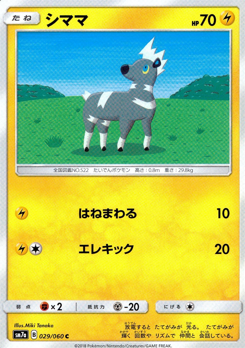 029/060/SM7A/C シママ