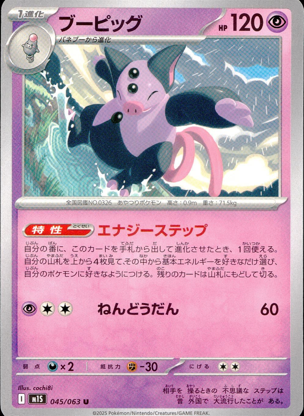 045/063/M1S/B/U Bupig