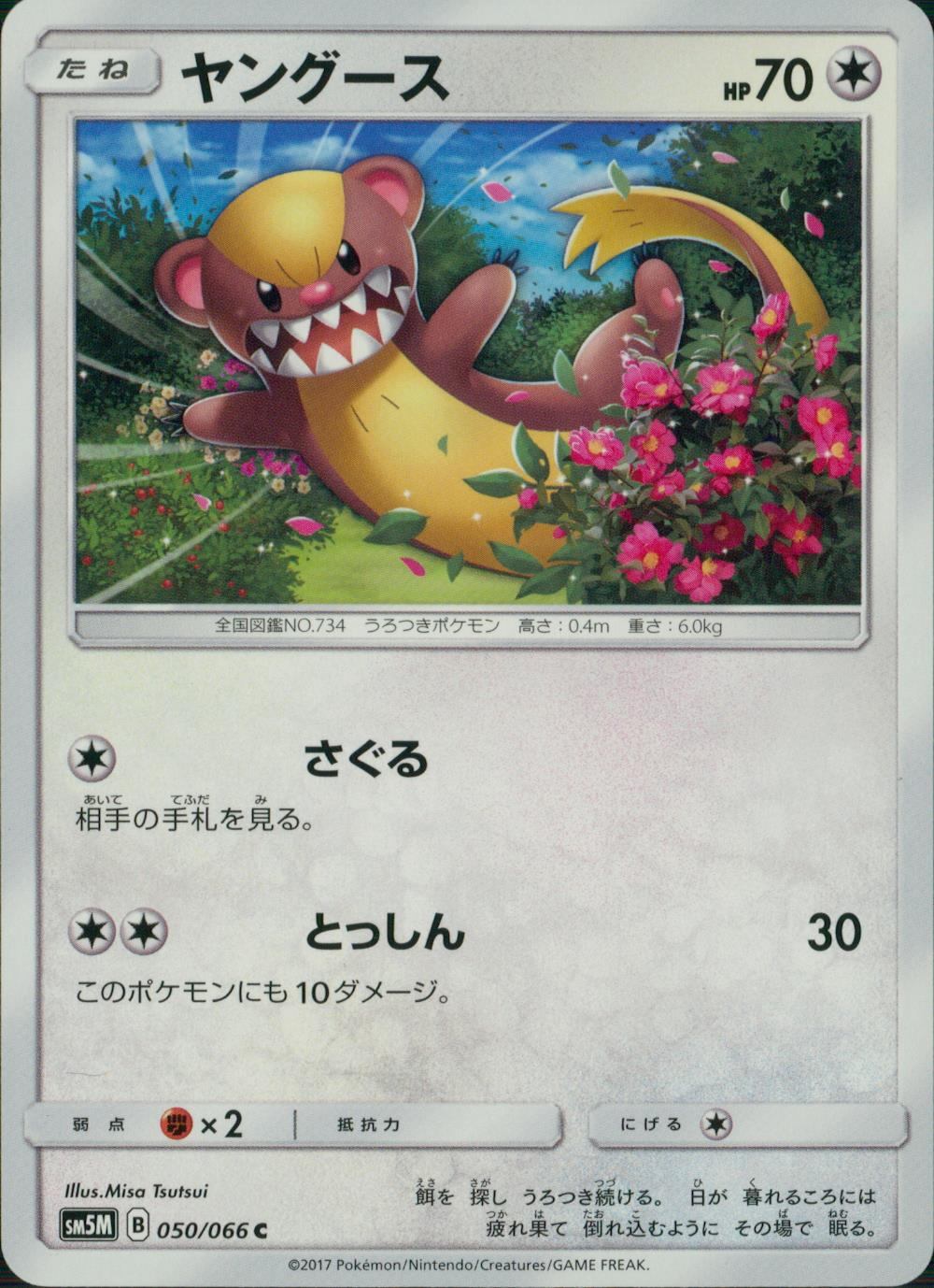 050/066/SM5M/ヤングース