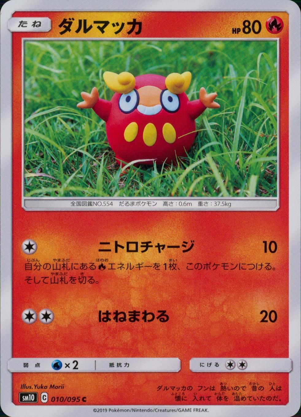 010/095/SM10/B/C ダルマッカ