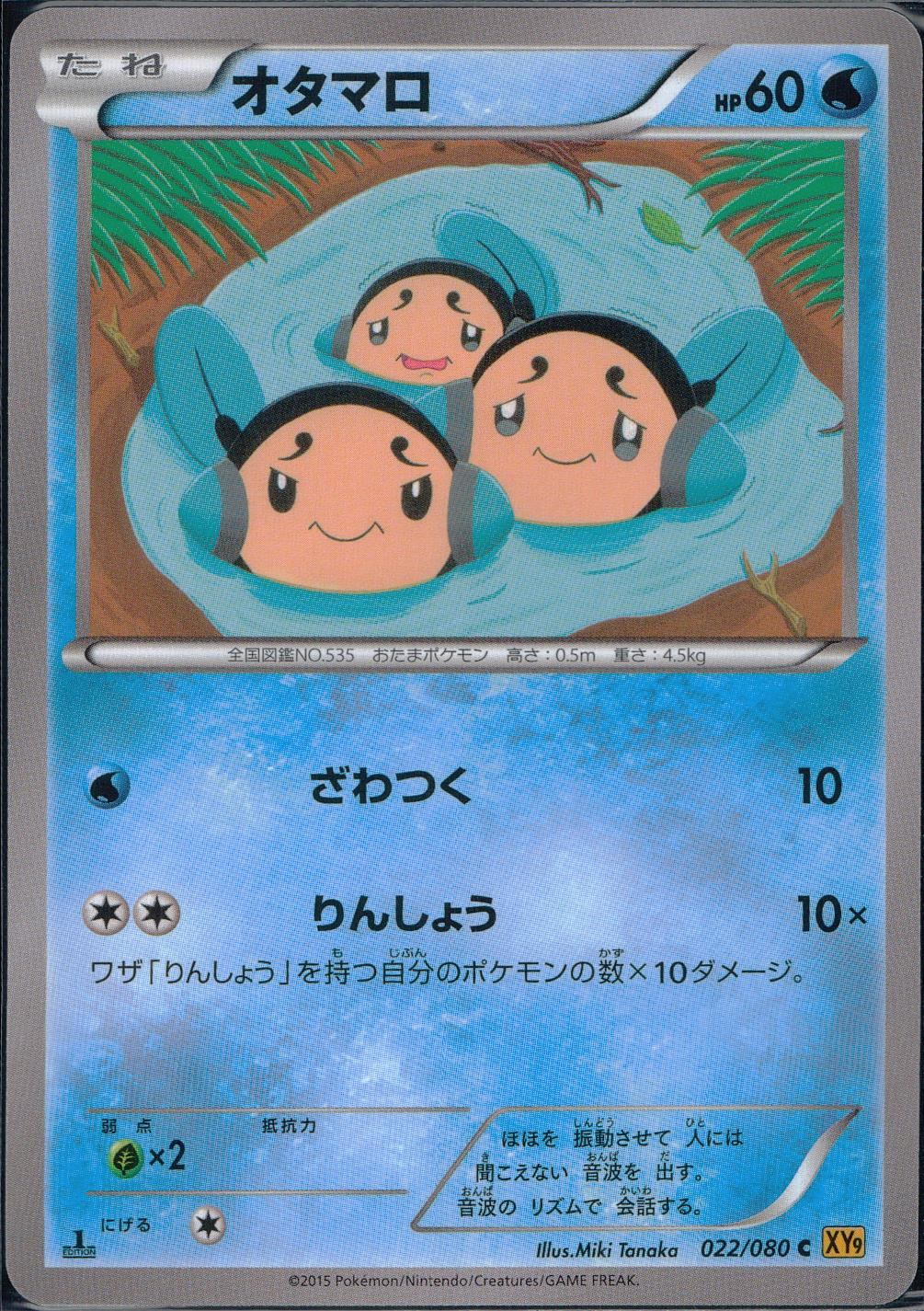 022/080/C/XY9/B オタマロ