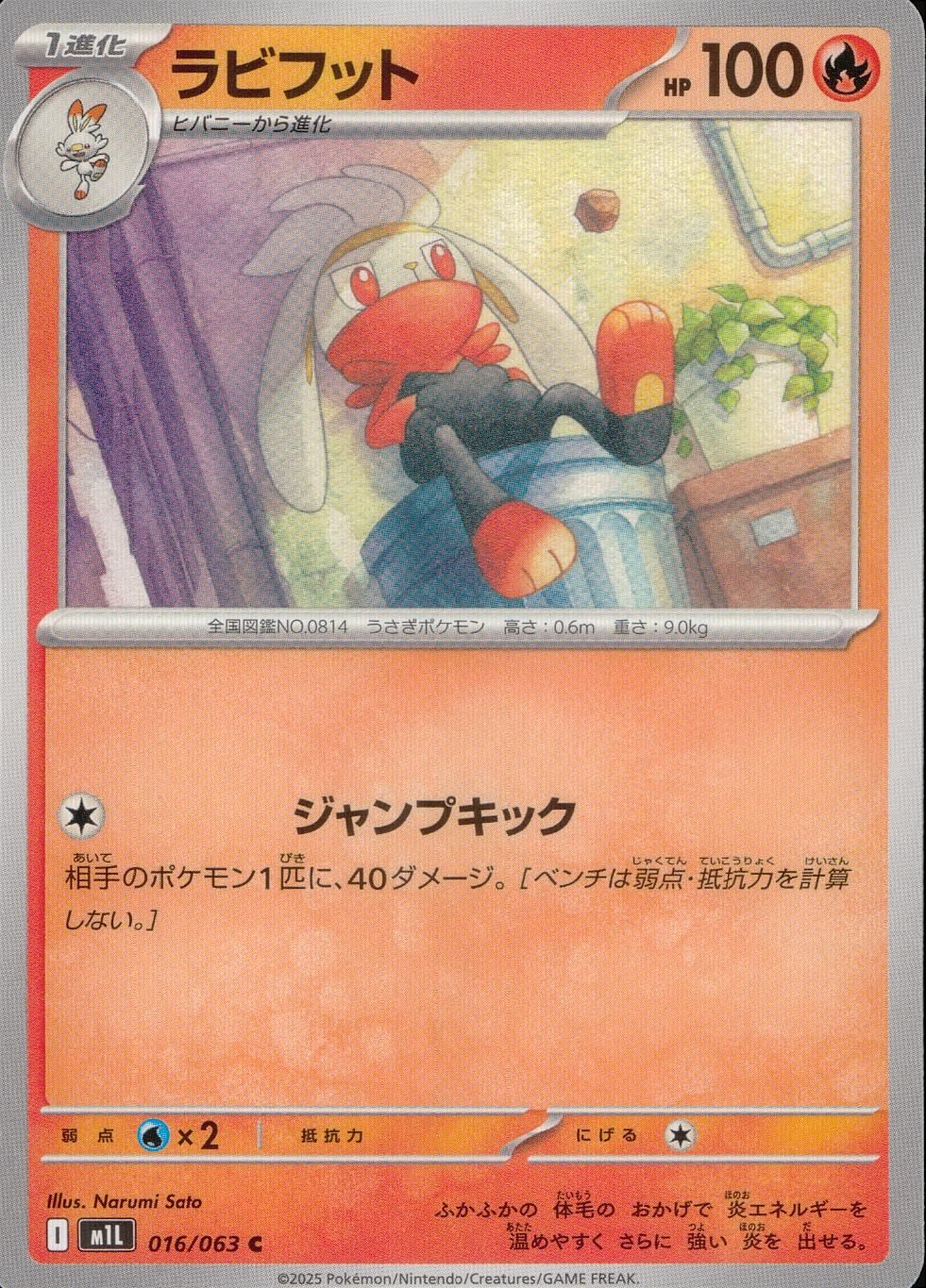 016/063/M1L/B/C Rabbitfoot