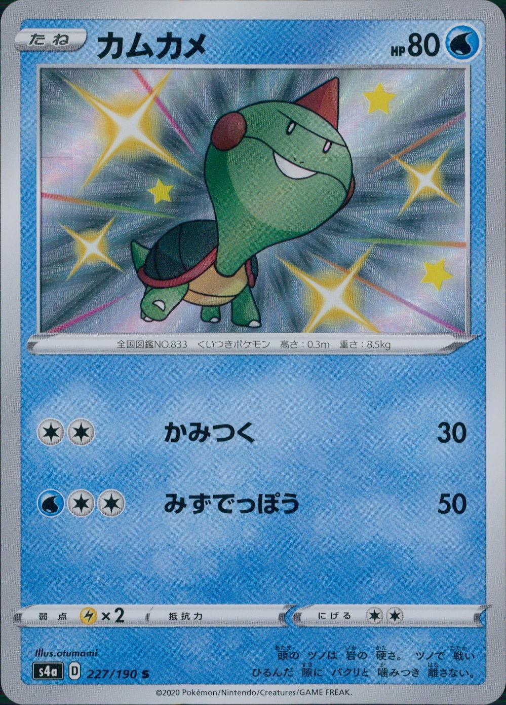 227/190/S4A/B/S Cam Camera