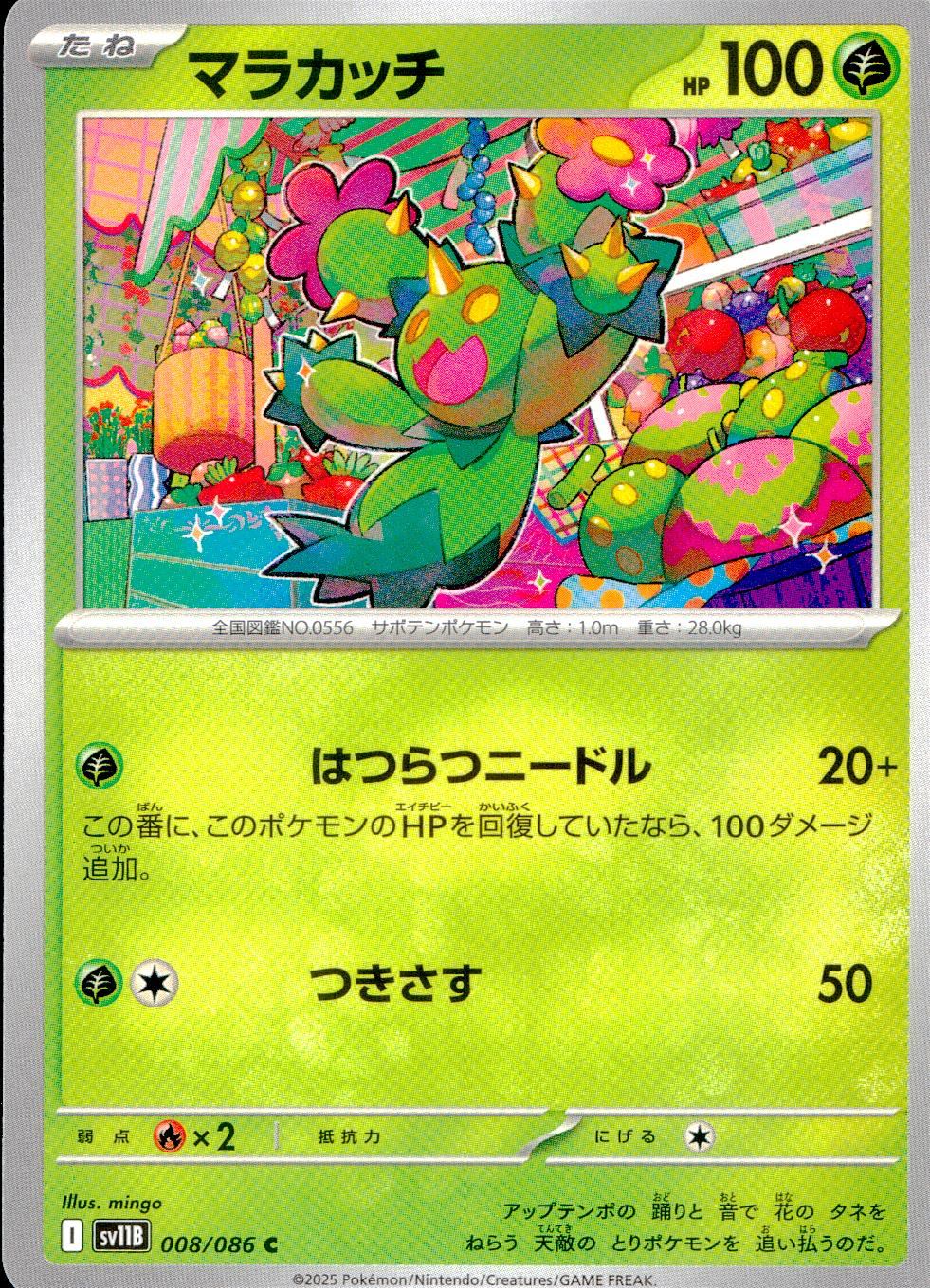 008/086/SV11B/B/C Malacacci