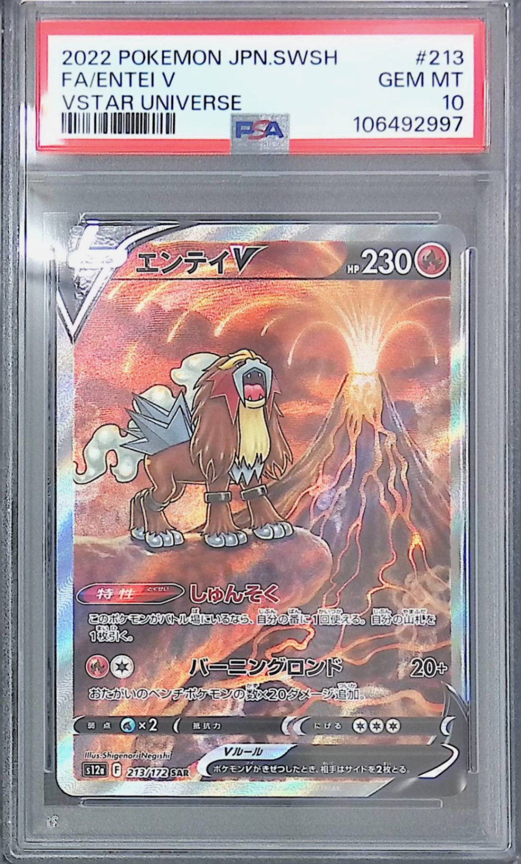 213/172 Entei V PSA10 106492997