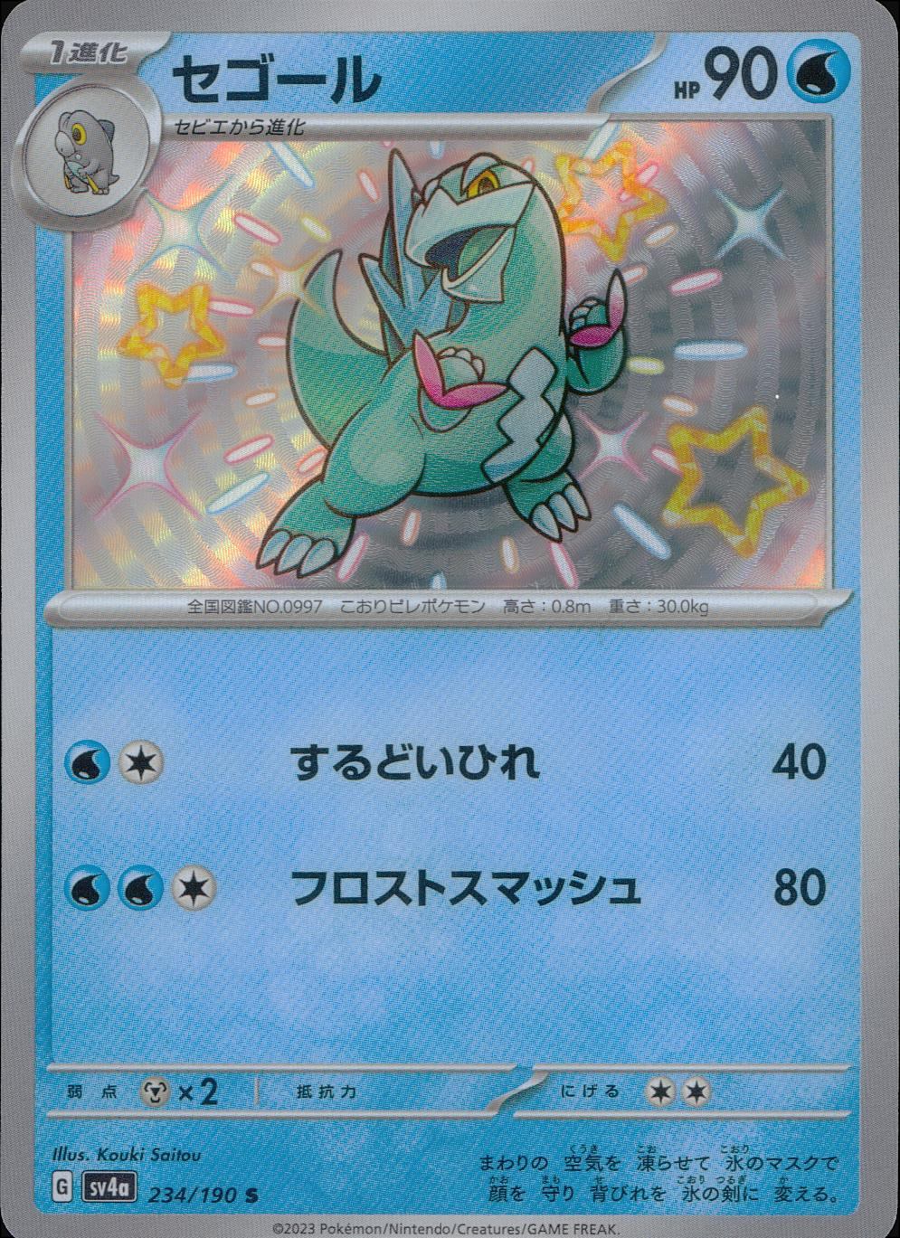 234/190/SV4A/B セゴール