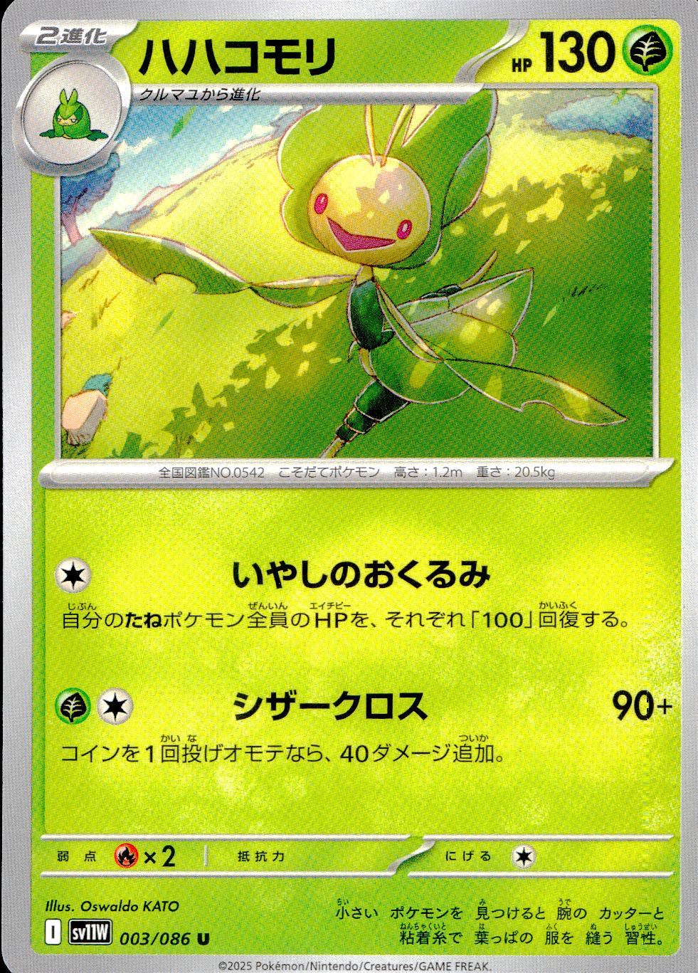 003/086/SV11W/B/U ハハコモリ