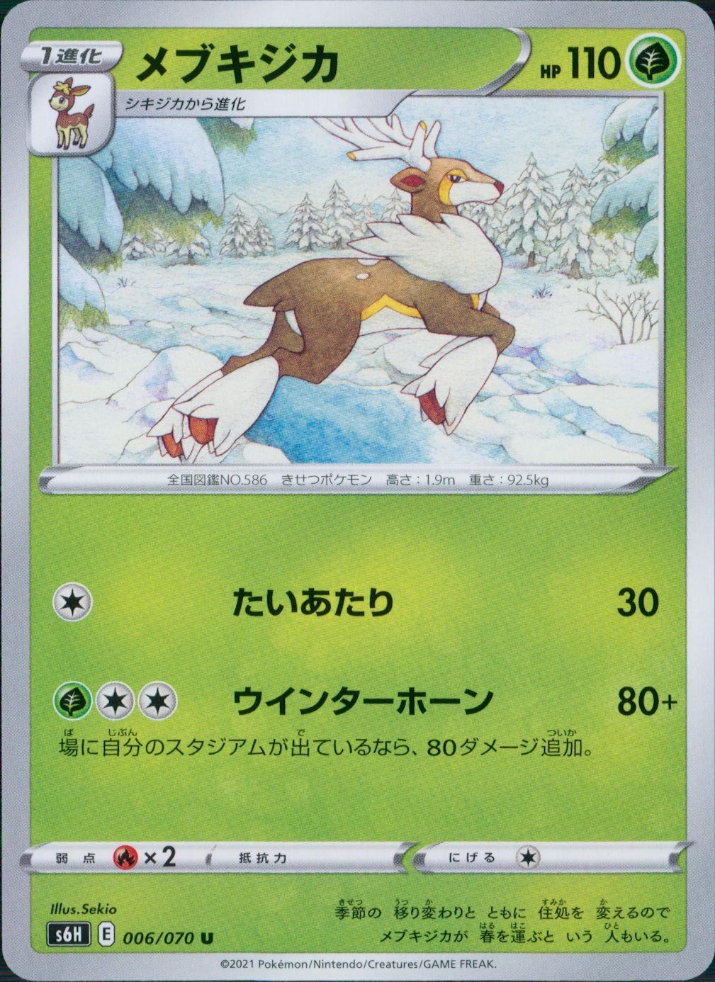 006/070/S6H/B/U メブキジカ