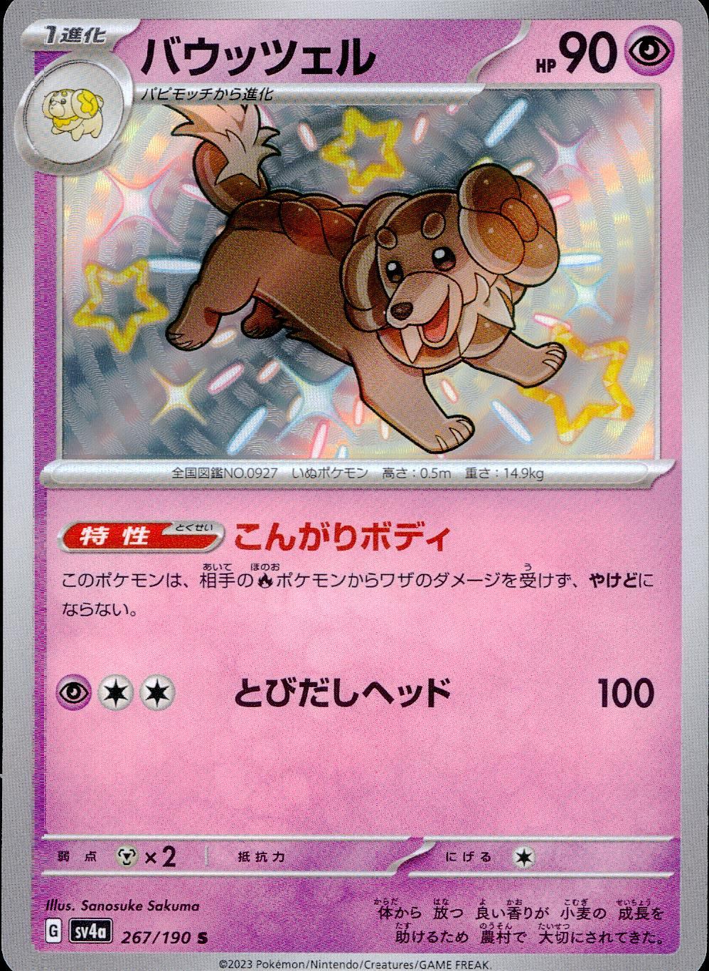 267/190/SV4A/B バウッツェル