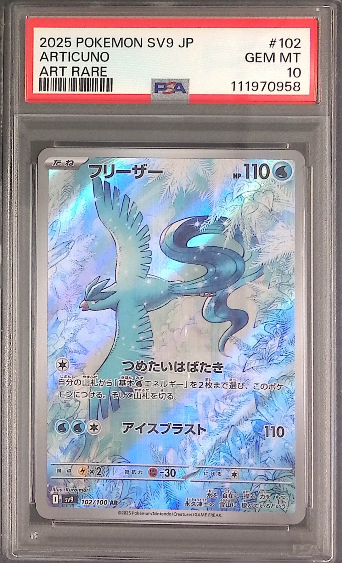 102/100/SV9/AR Freezer PSA10 111970958