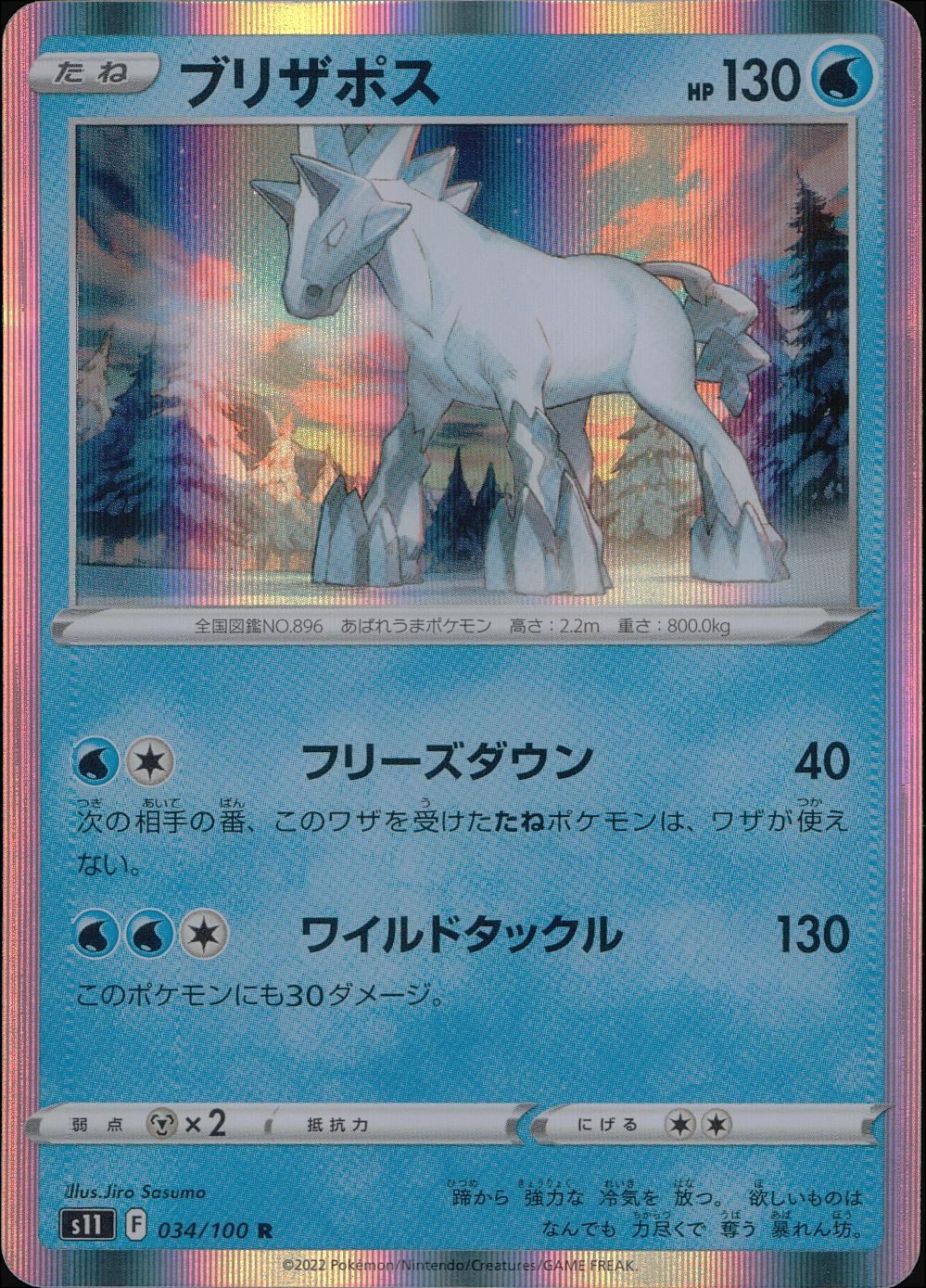 034/100/S11/B/R Blizzard