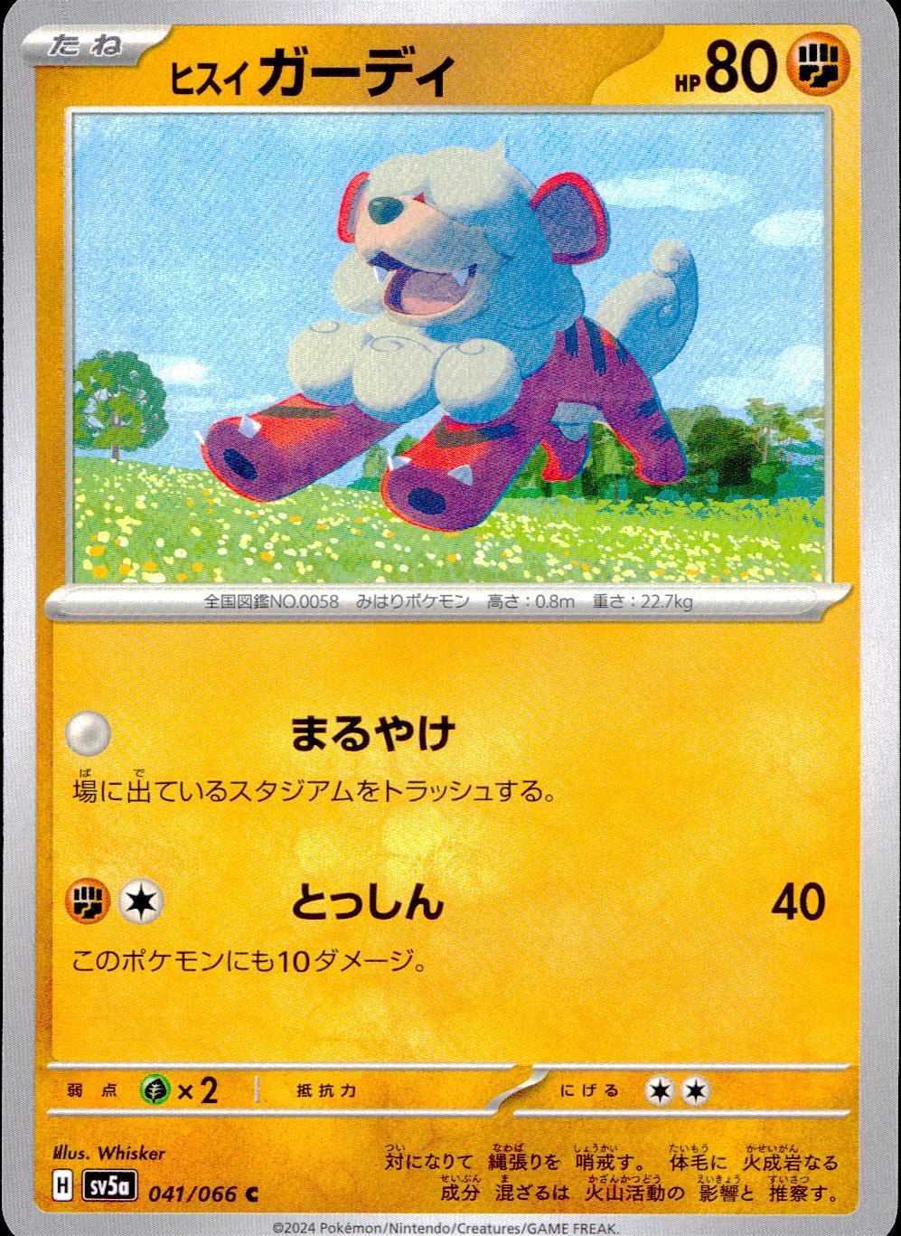 041/066/SV5A/B/C Hisui Guardi