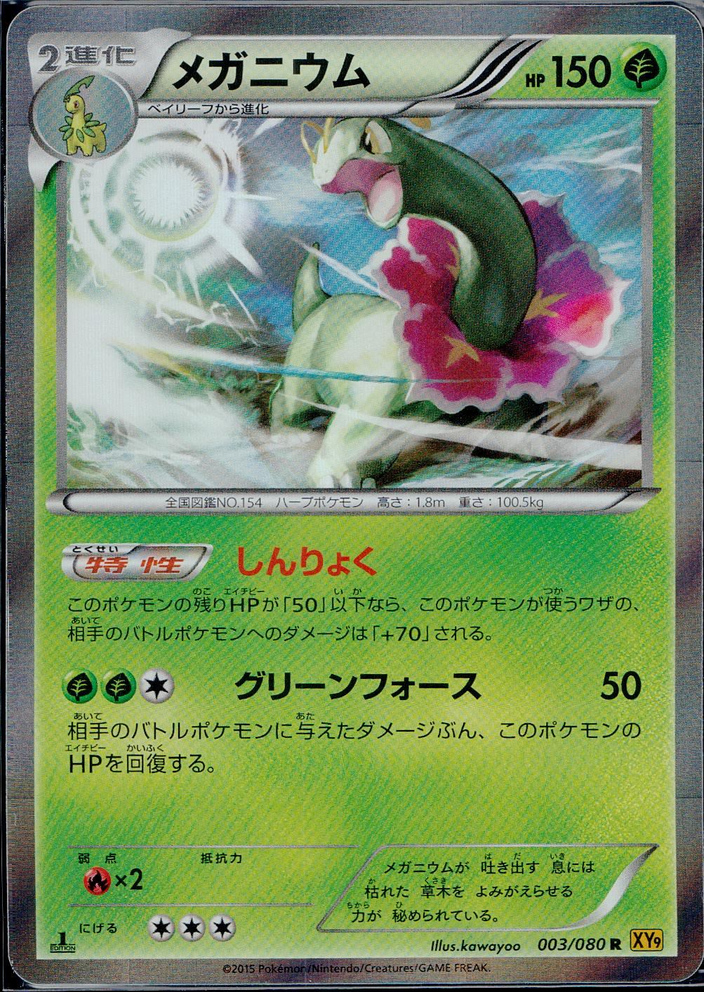 00/080/R/XY9/B メガニウム