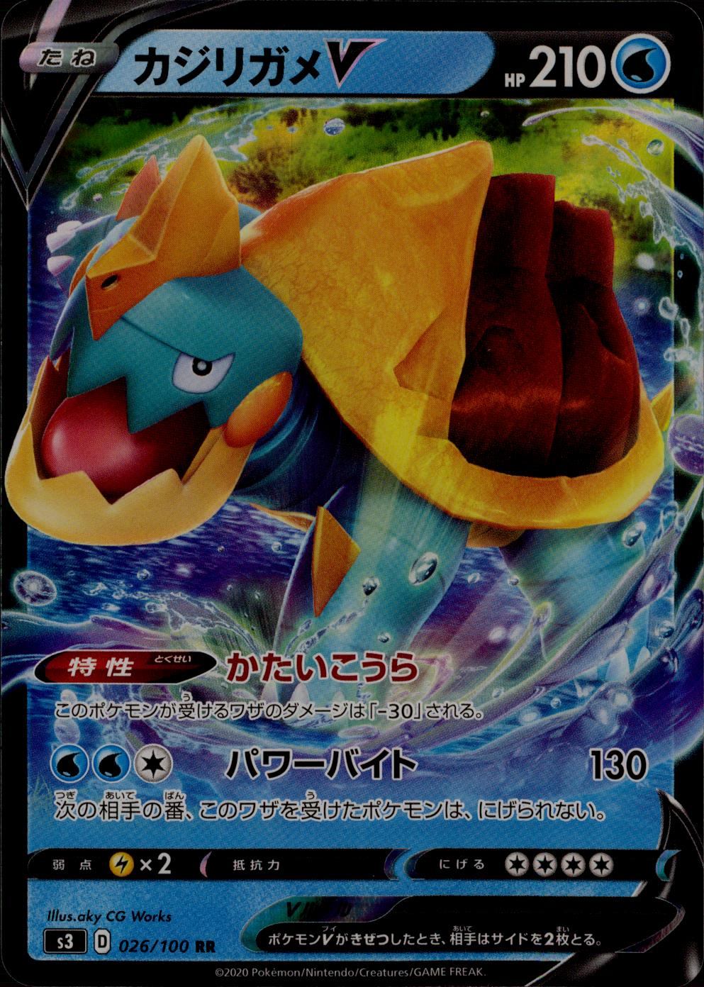 026/100/S3/B/RR Slash Turtle V