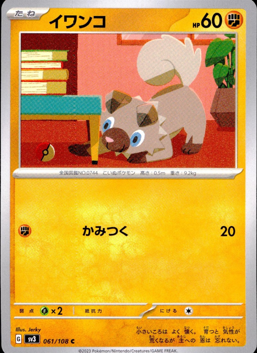 061/108/SV3/B/C イワンコ