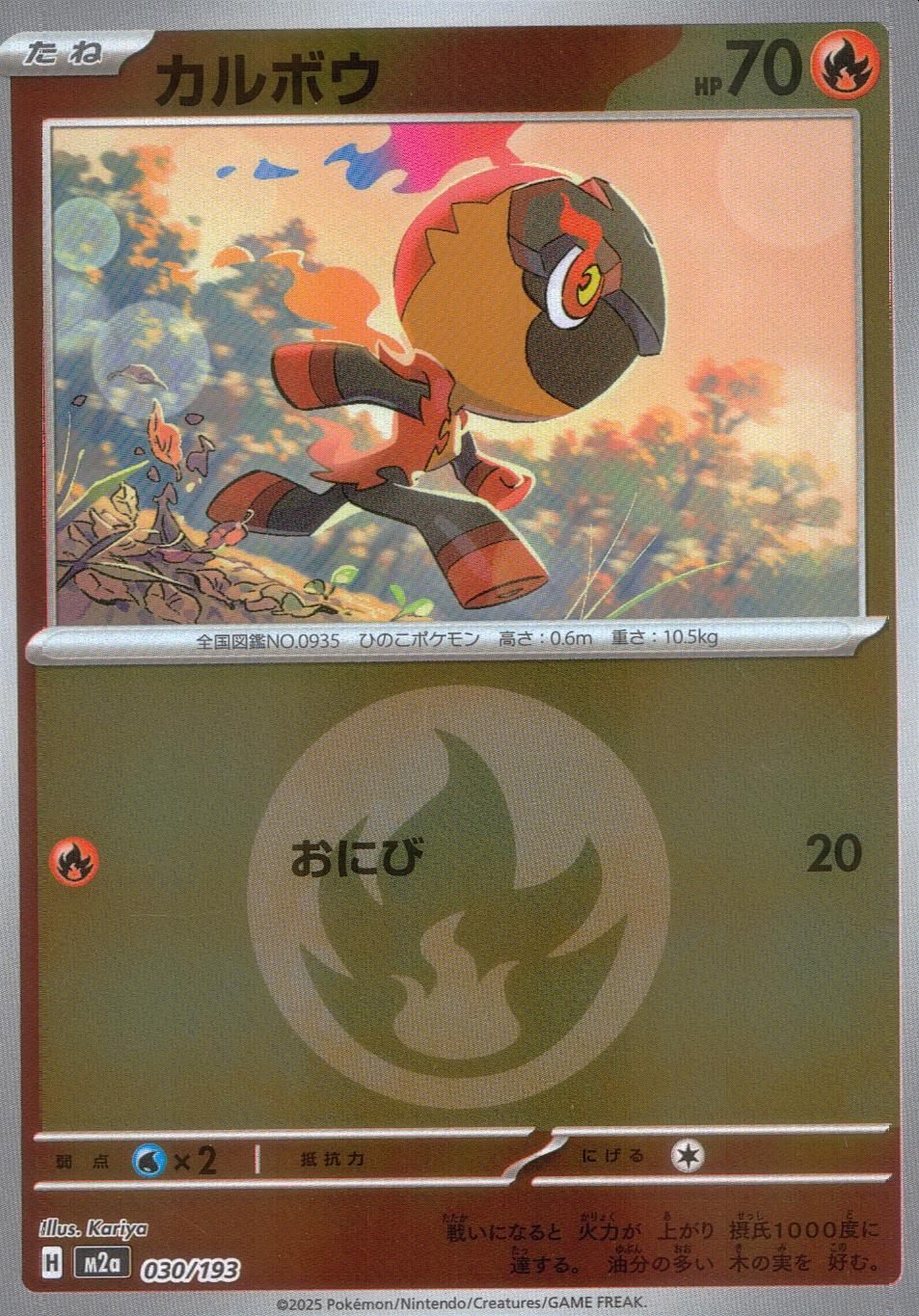 030/193/M2a/MB2 カルボウ(エネルギーミラー)