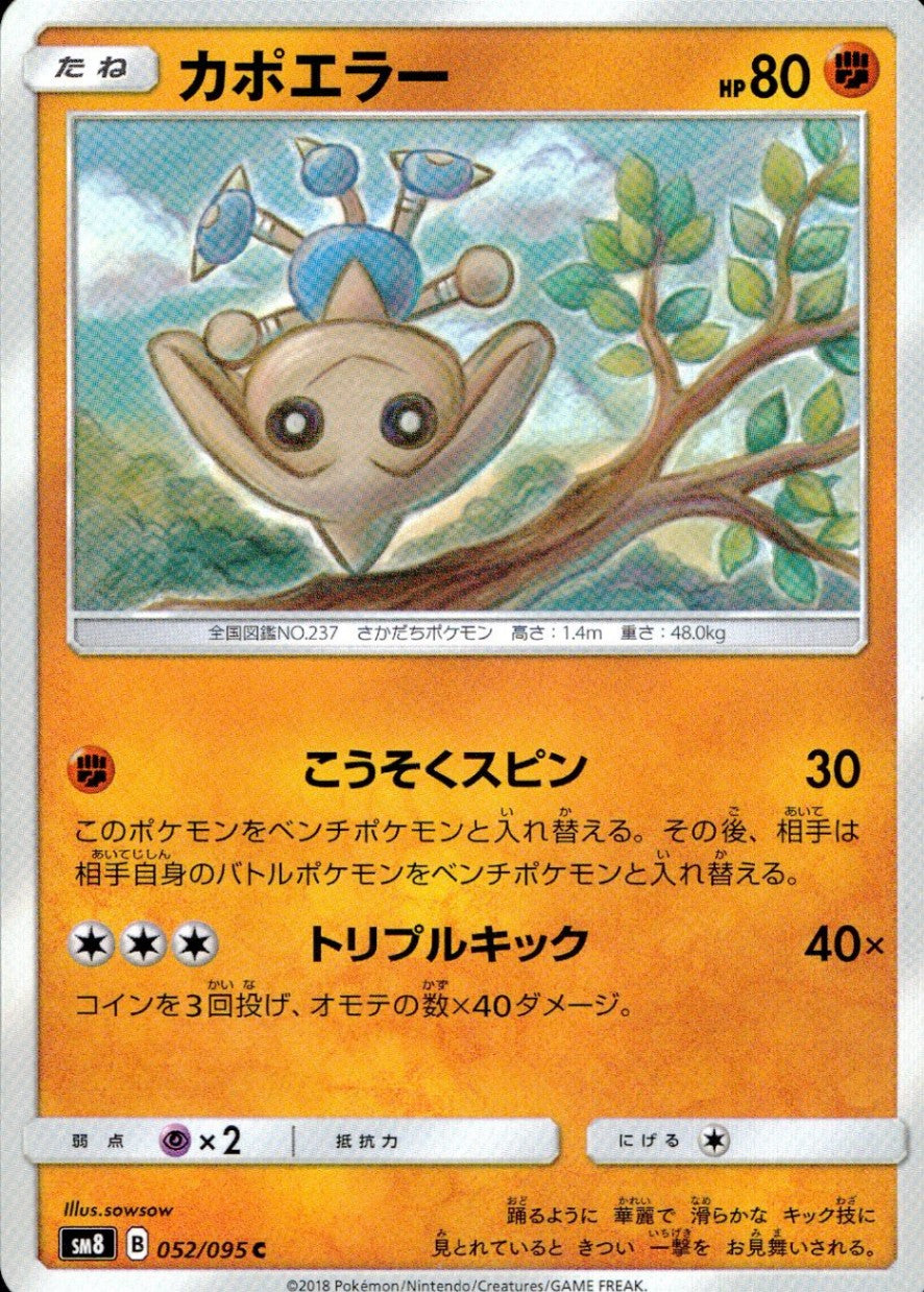 052/095/SM8 カポエラー