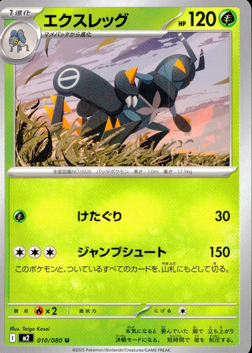 010/080/M2/B/U エクスレッグ
