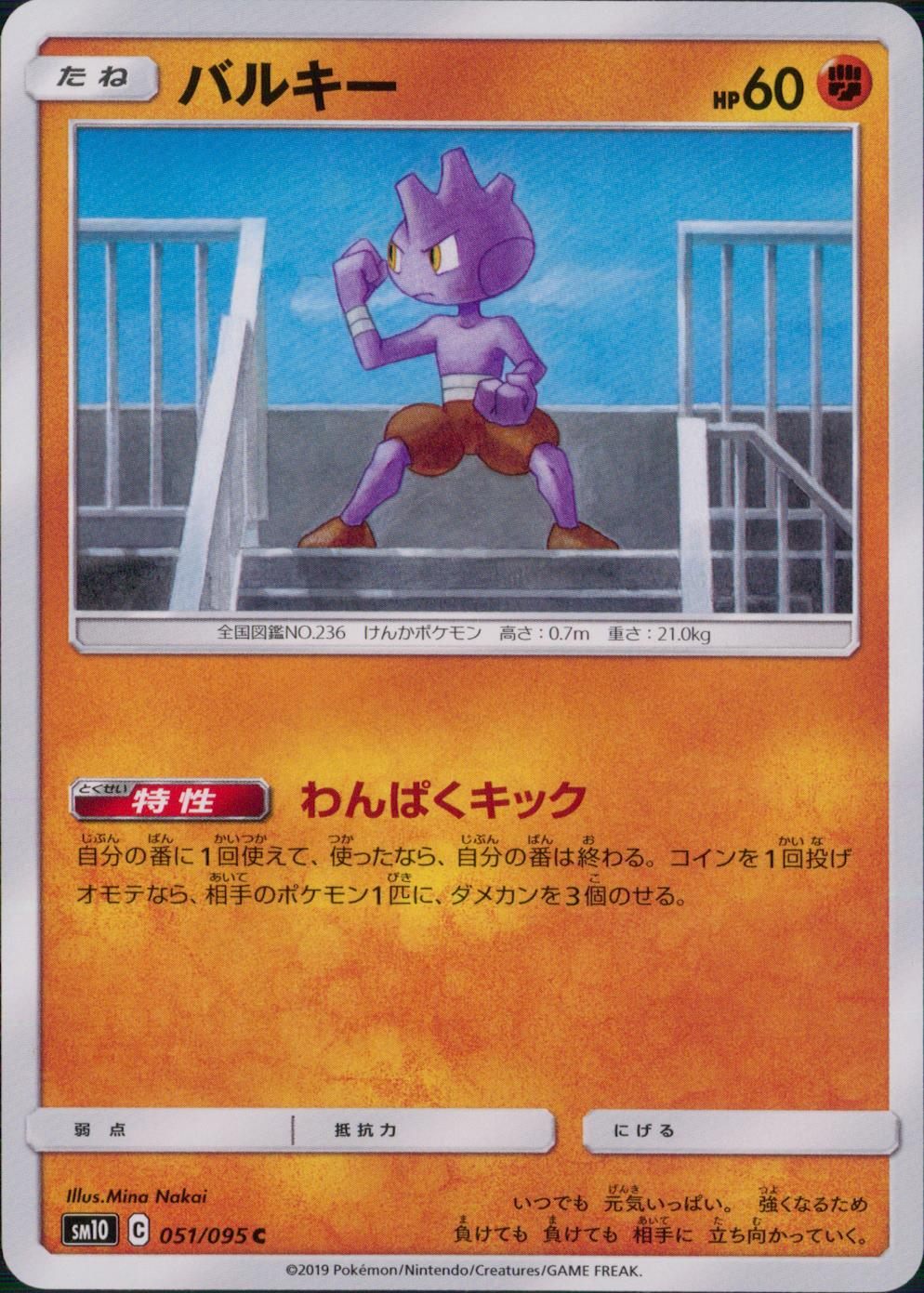 051/095/SM10/B/C バルキー