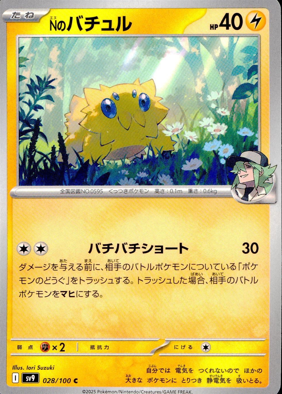 028/100/SV9/B/CN Bachul